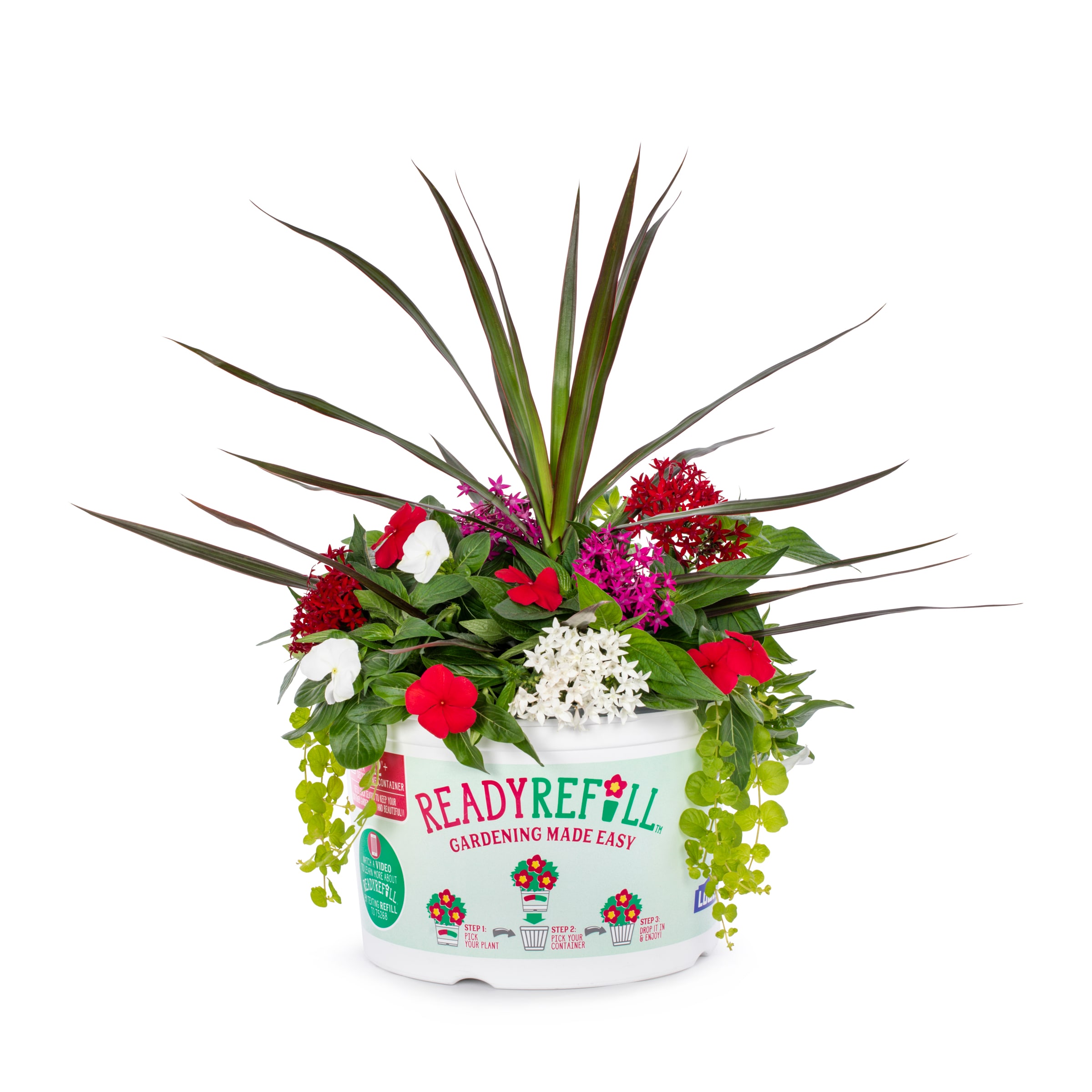 Ready Refill NURSERY Multicolor Mixed Annuals Combinations Pot