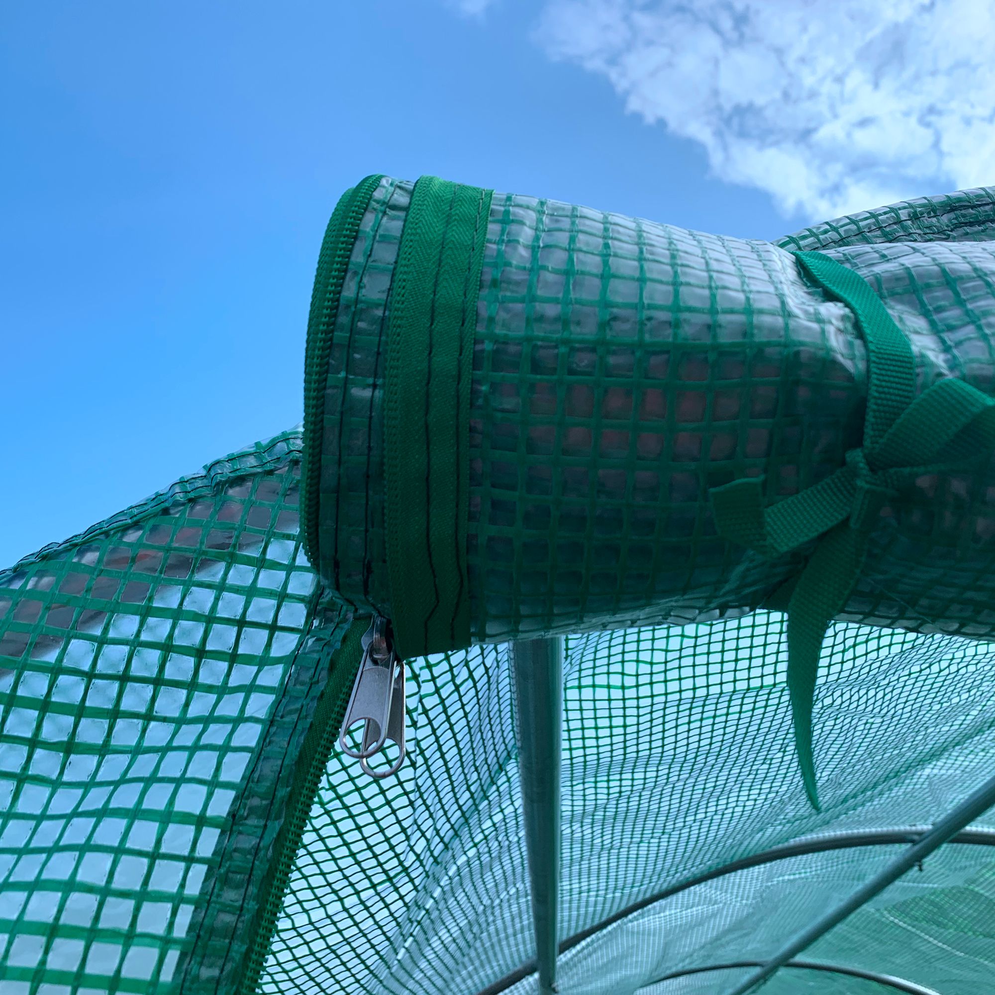 Iseryn OS77915P21 greenhouses - View #7