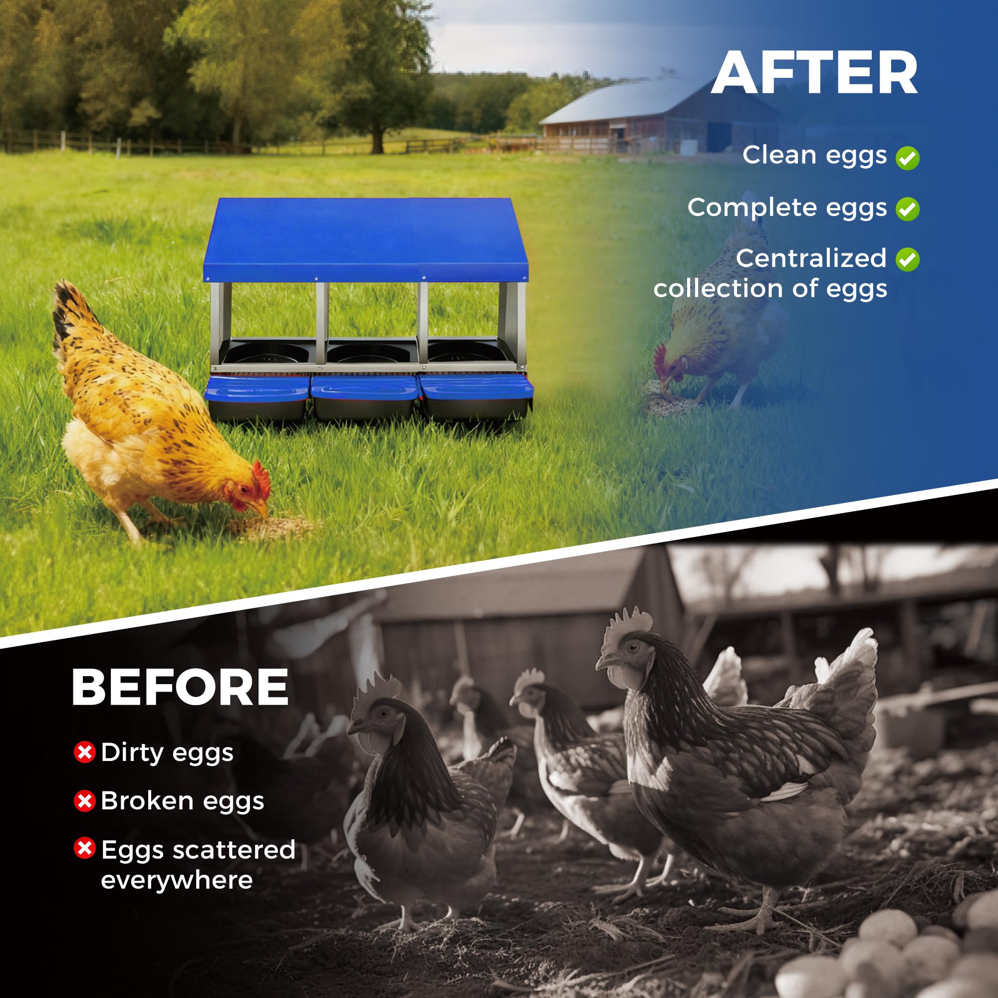 Assile BJPBLQW0QX60OOH Chicken-Coops-Rabbit-Hutches - View #5