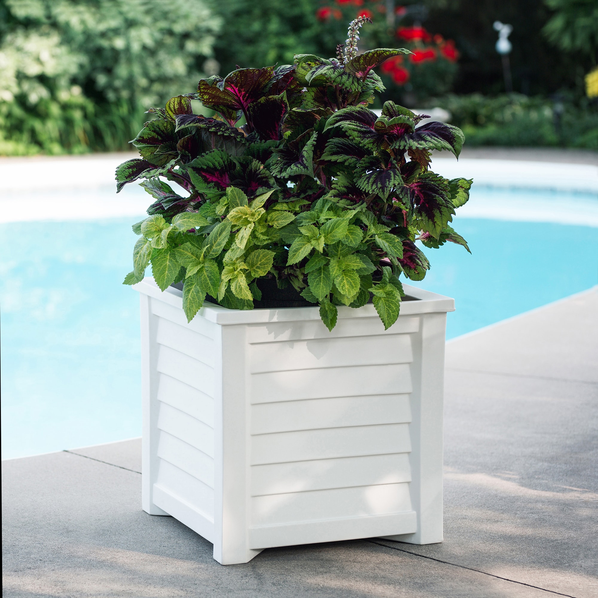 Mayne 5867-W Planter-Window-Box - View #3