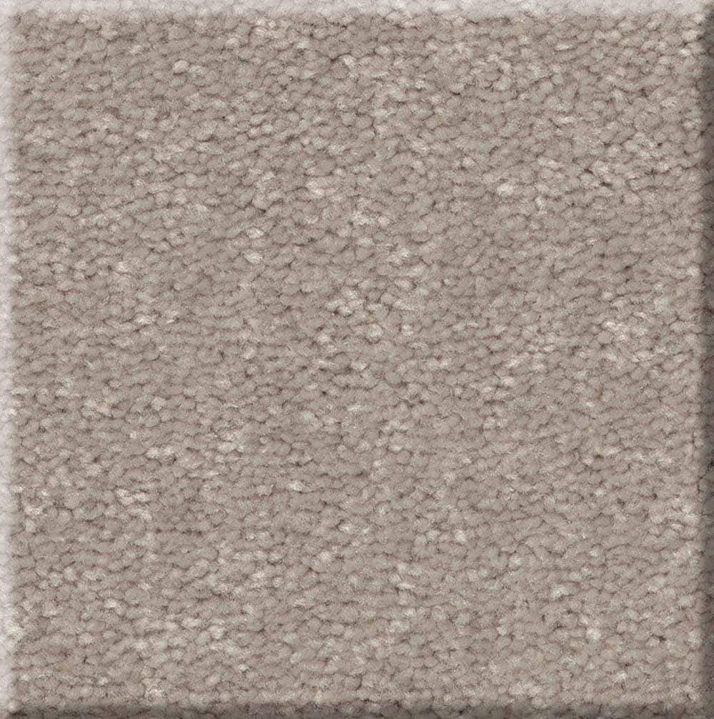 STAINMASTER 7L768-113-SAMP (Sample) Summer Breeze Brown 73.1-oz sq yard Polyester Textured Indoor Carpet
