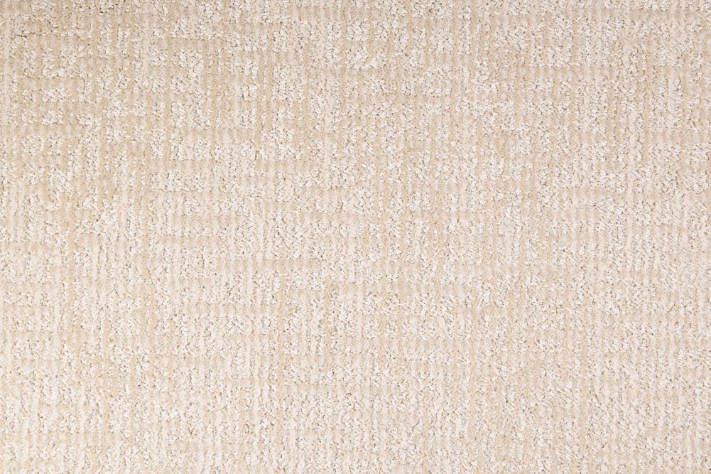 STAINMASTER DL017-108S (Sample) PetProtect Pembroke Beach Haven Pattern Carpet