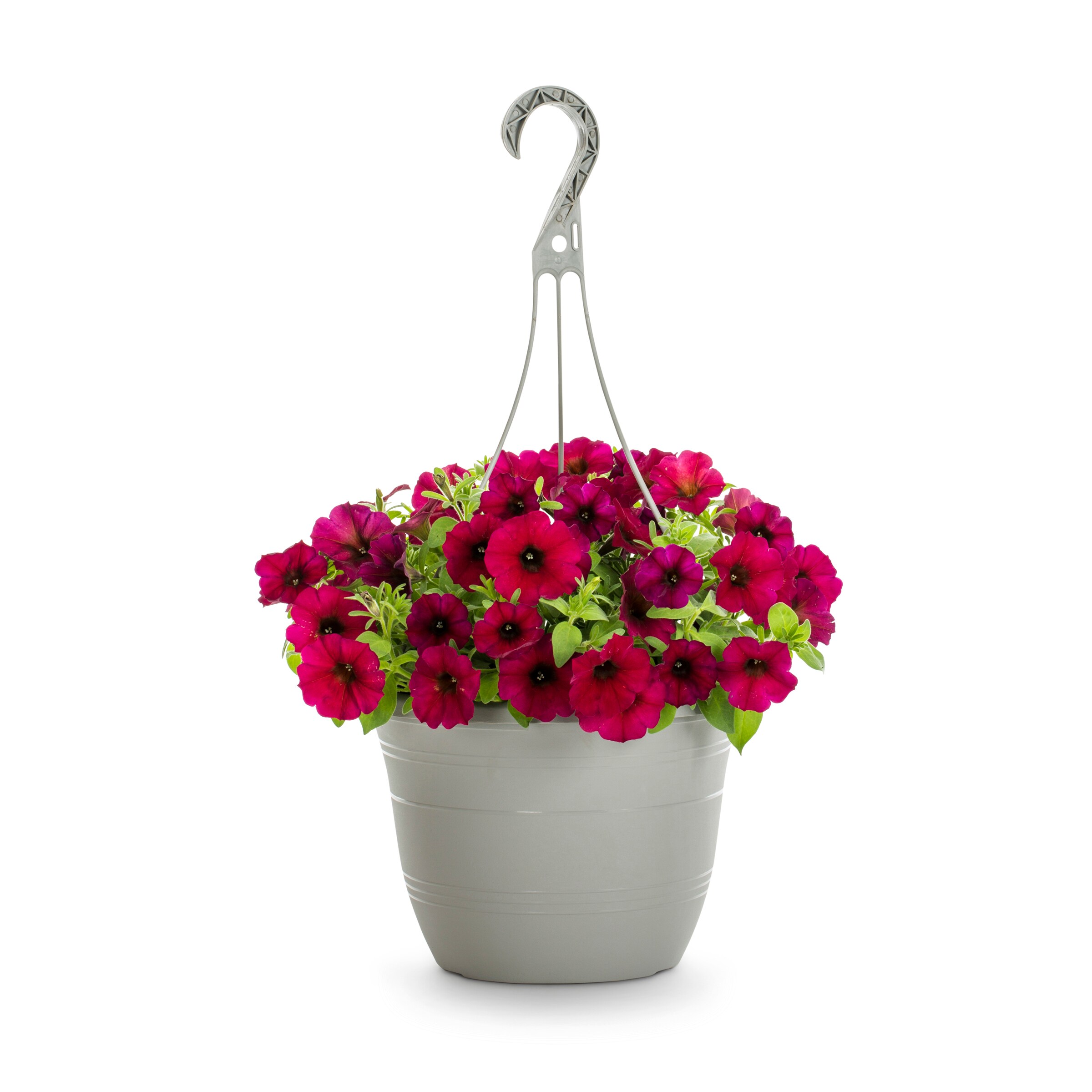 Fully_Assembled_Petunia_Hanging_Basket_-480x480.jpeg