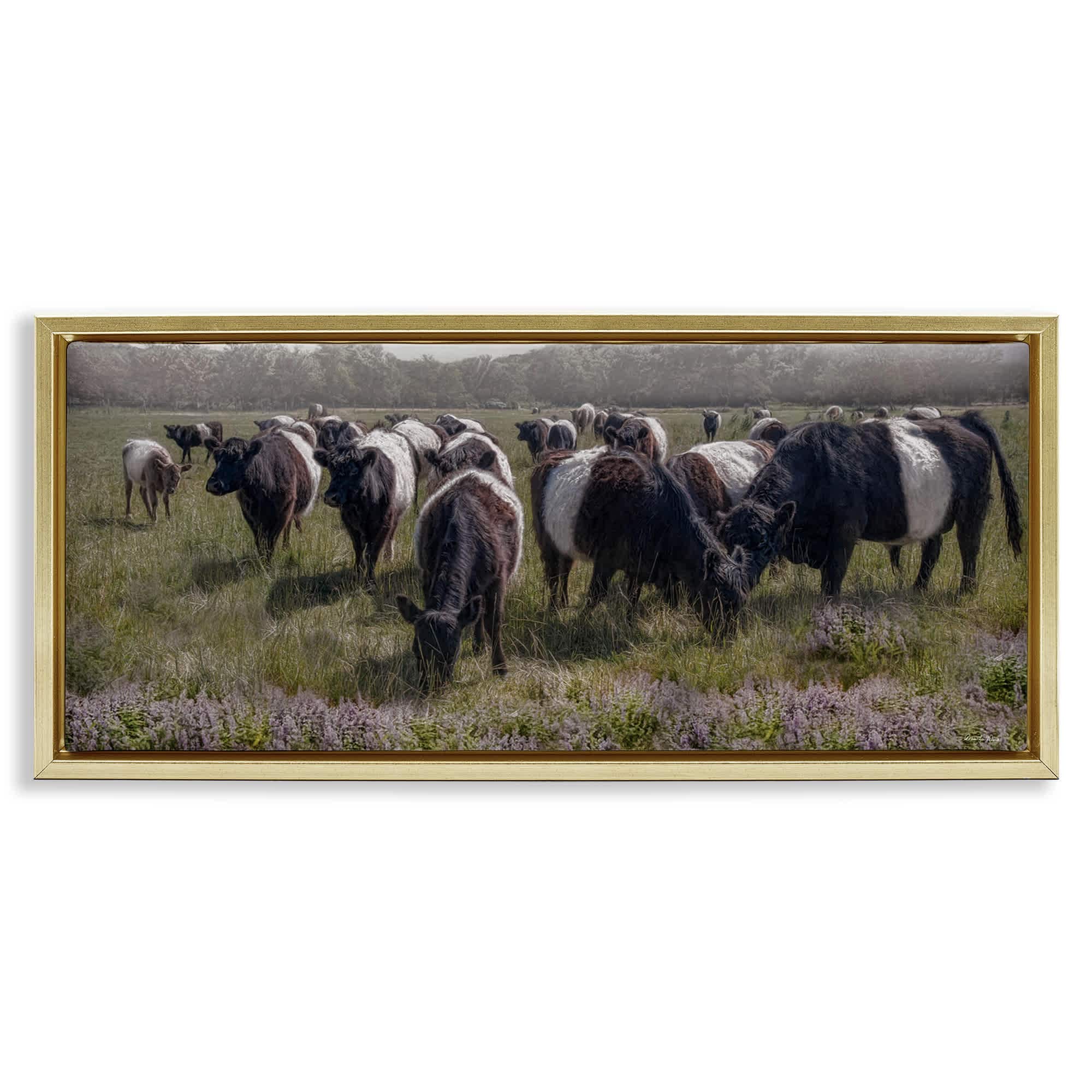 Stupell Industries BS-675-FFG-13X30 Black Cows Grazing in Pasture Gold Framed Floater Canvas Wall Art By Robin-Lee Viera 31 x 14