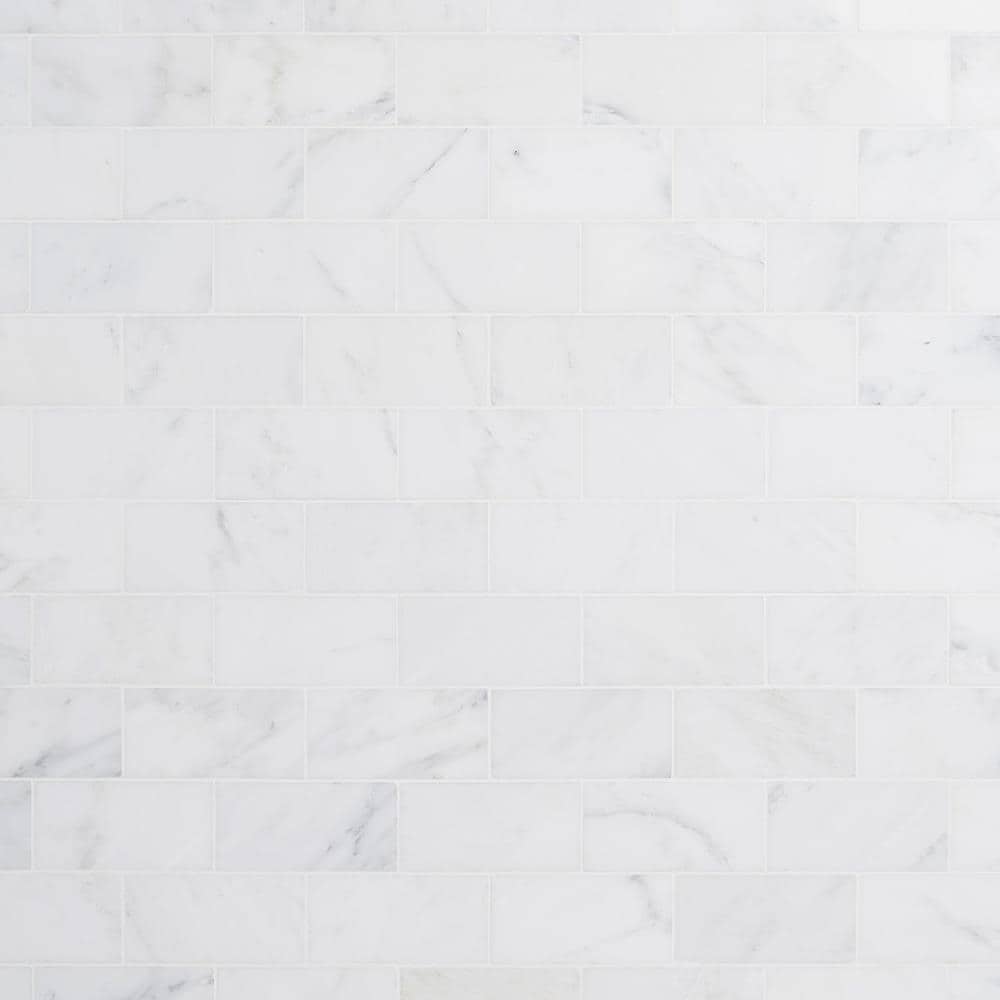 Artmore Tile EXT3RD100234 Eastern Asian Statuary Asian Statuary 3-in x 6-in Polished Natural stone Subway Standard Floor and Wall Tile ( 4-sq ft Carton )