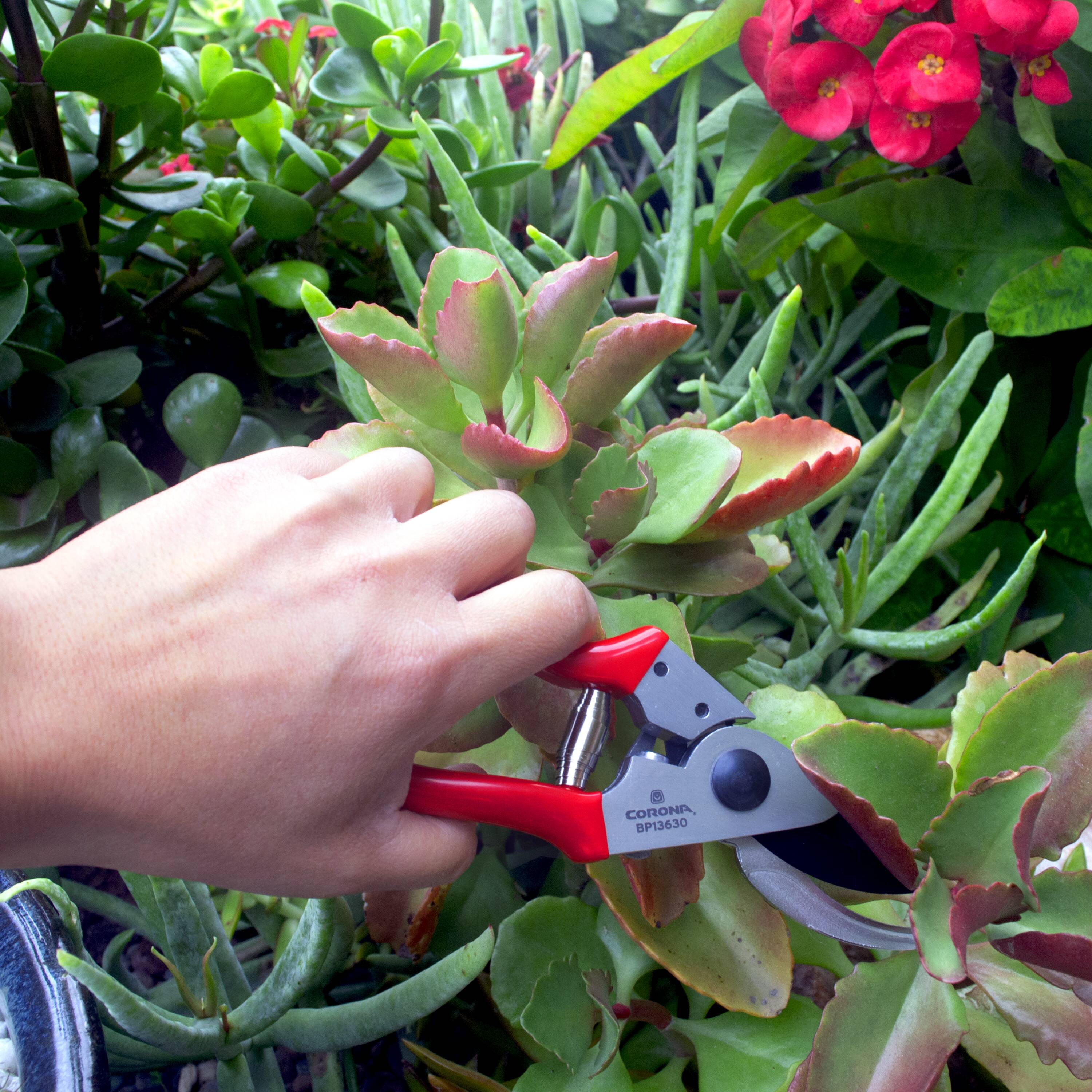 Corona BP13630 Hand-Pruners - View #9