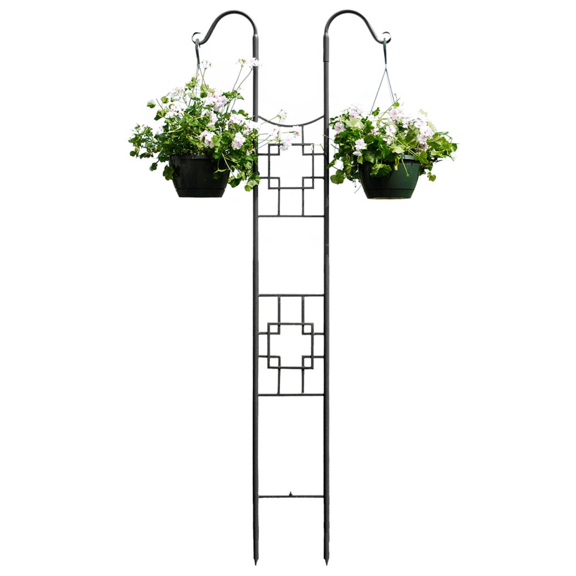 Graphite Wrought Iron Double Pole Trellis with Hooks