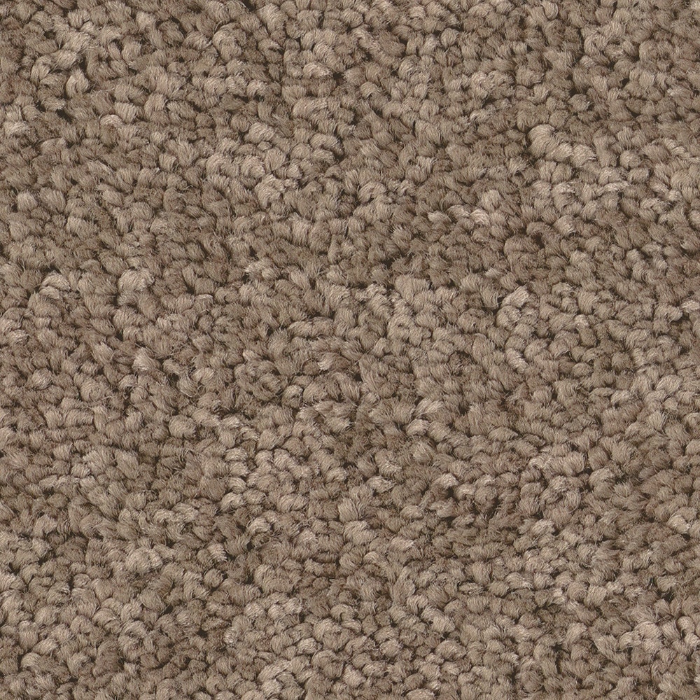 STAINMASTER PetProtect 7L97200701 with LeakDefense Happy Howling III Timberlake Brown 82.9-oz sq yard High-performance polyester Textured Indoor Carpet