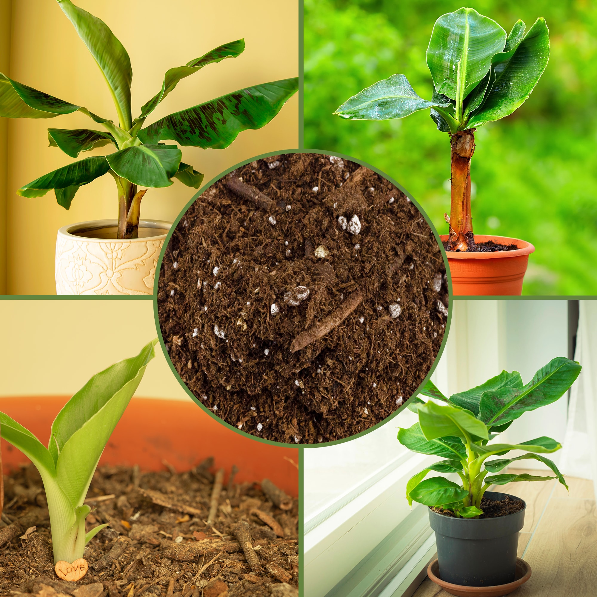 Soil Sunrise SSKIT234 Garden-Soil-Soil-Amendments - View #3