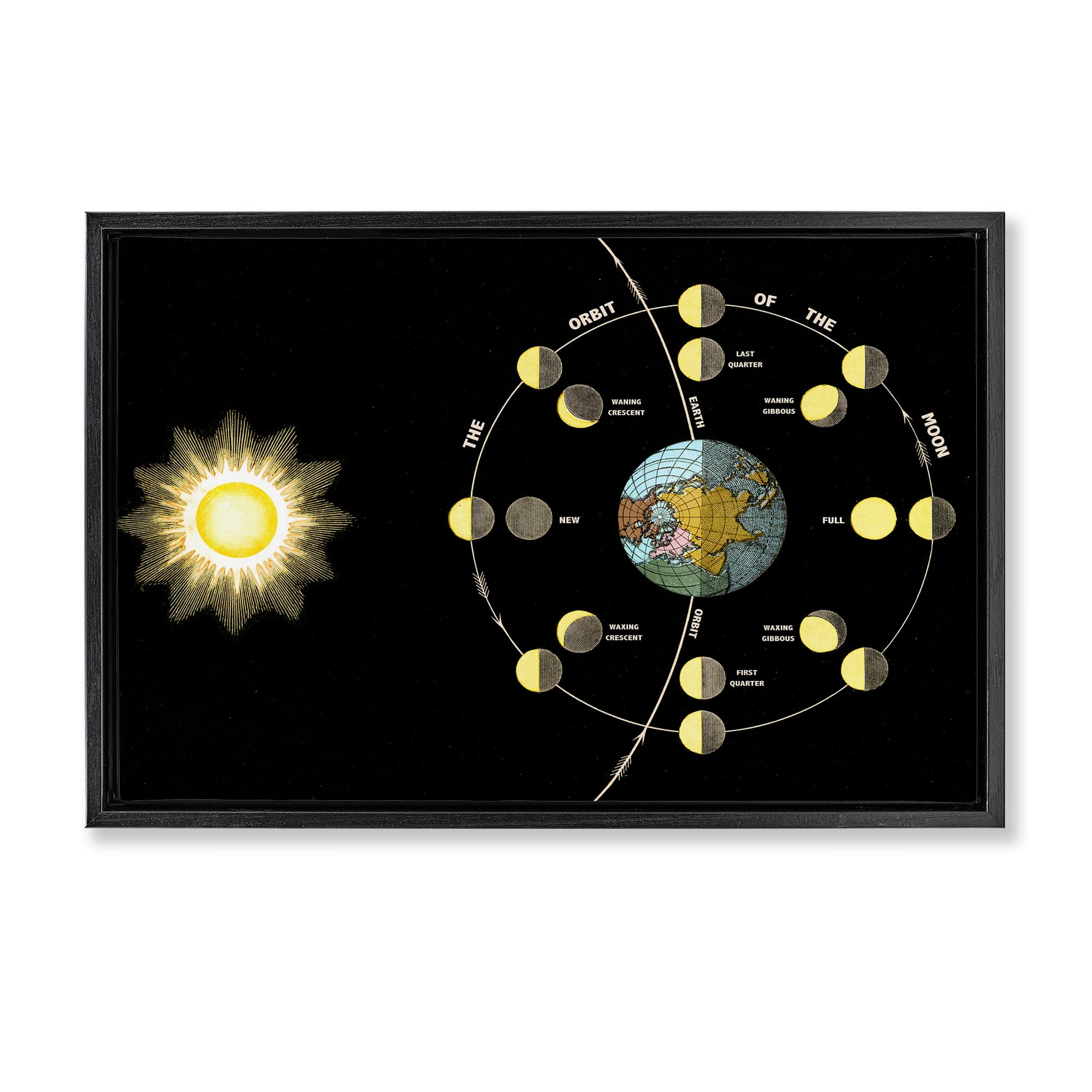 Stupell Industries BT-485-FFB-20X30 Moon's Orbit and Phases Floating Frame design by Phillipa Katz