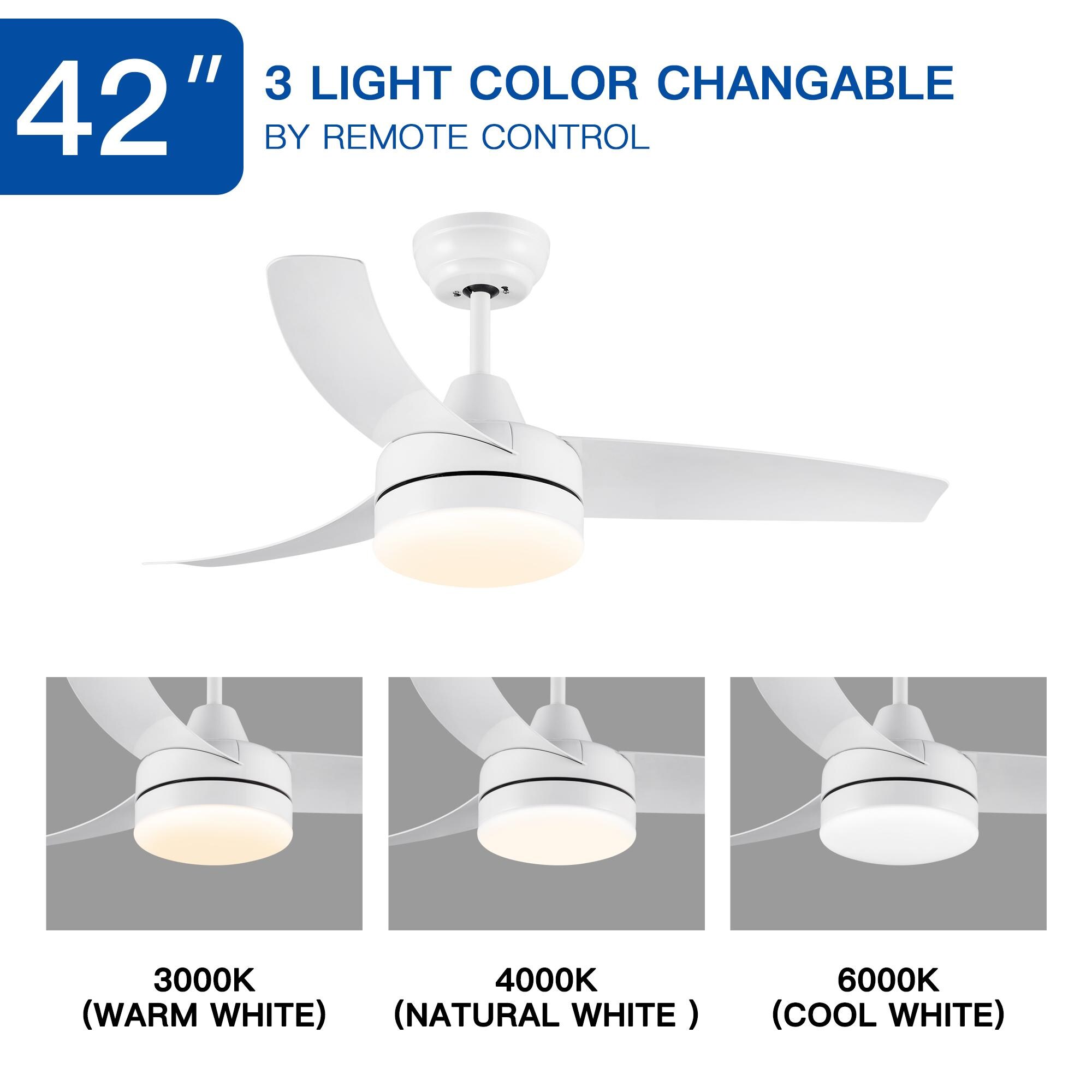 Bayfeve BFYH-5962 Ceiling-Fans - View #8