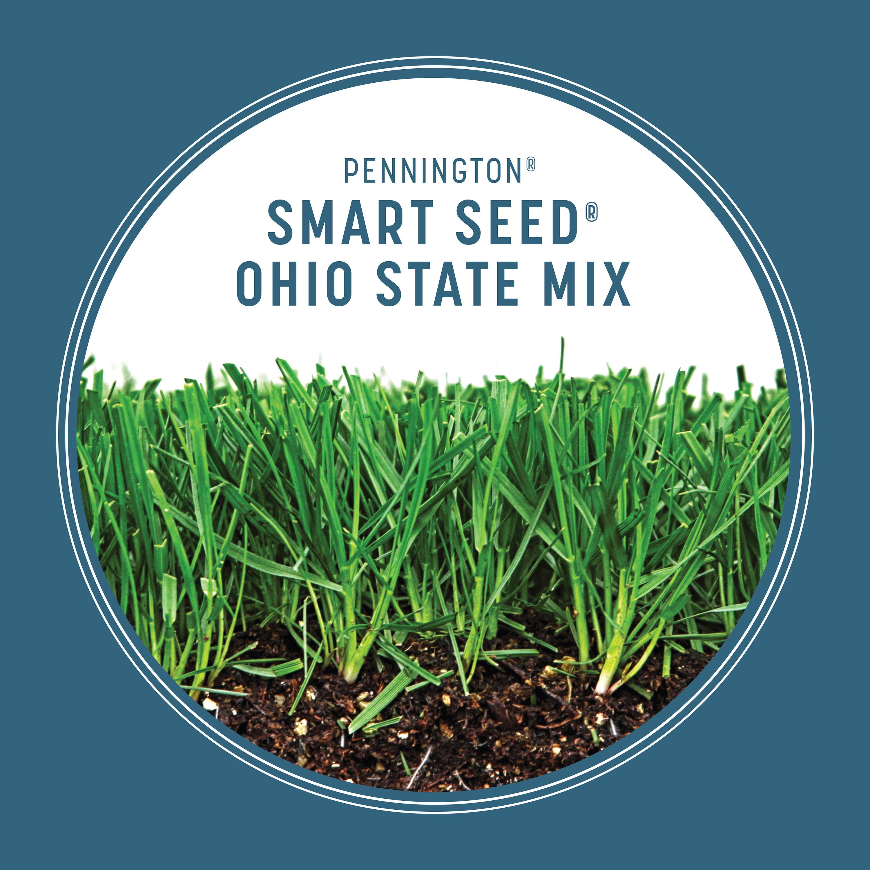 Pennington 100543709 Grass-Seed - View #5