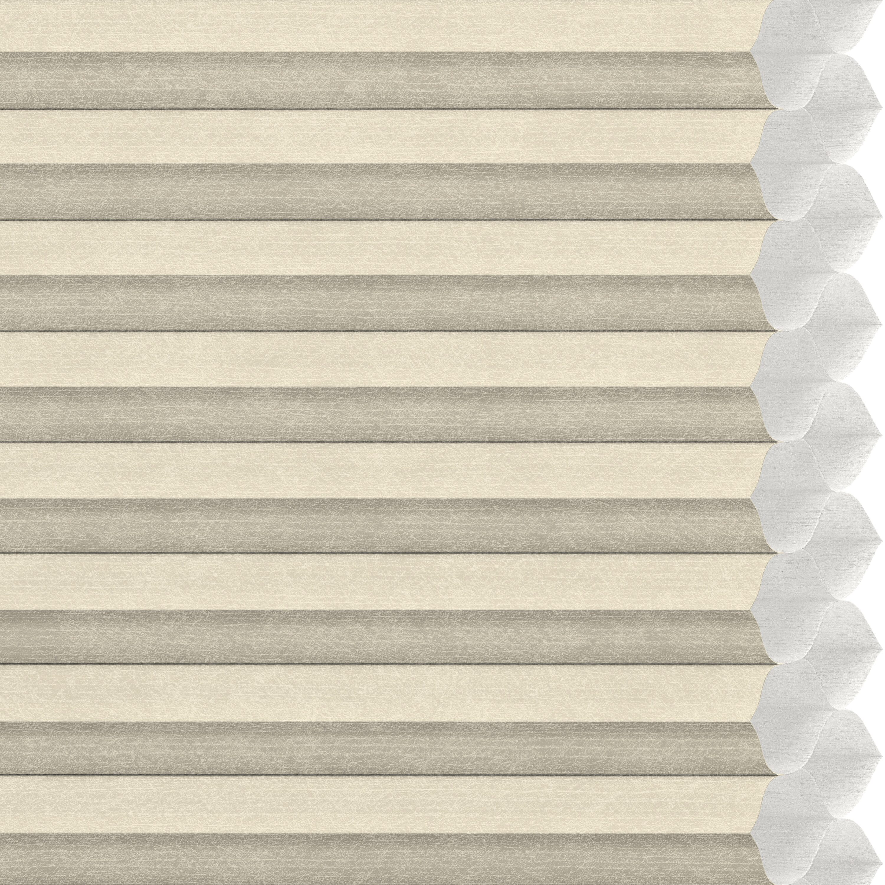 LEVOLOR 511504 Designer Colors Daylight Light filtering Polyester 1/2-in Double Cellular shade swatch