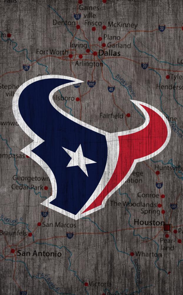 Fan Creations Houston Texans 19-in H x 11-in W Sports Print at