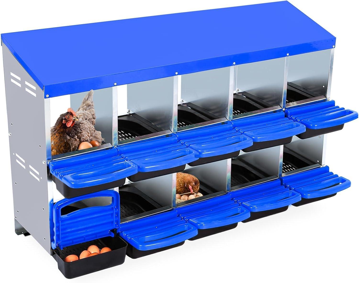 Qeetex GGL-PPG-33CXHD77 10-Hole Blue Chicken Nesting Box Roll-Away Egg Collection System with Ventilation Holes  Rustproof Plastic Tray Keyhole Mounting  Chicken Laying Box for Hen or Duck