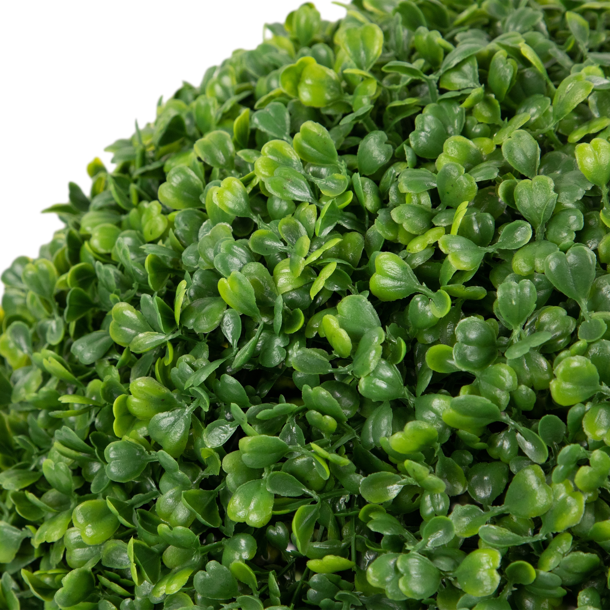 Two-Tone Green Plastic Boxwood Topiary, 13.7" Tabletop