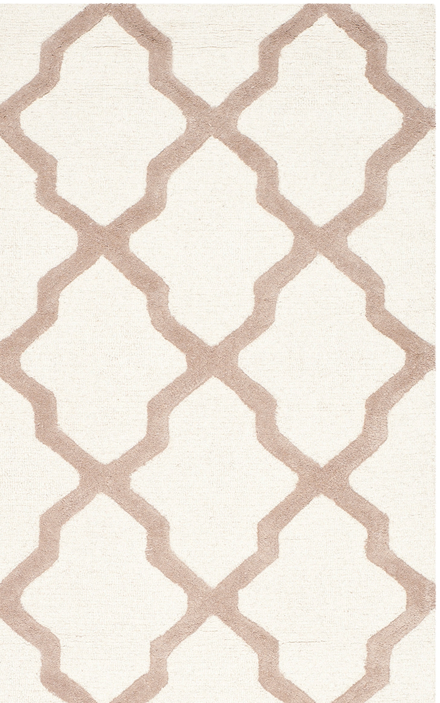 Safavieh CAM121P-2 rugs - View #2