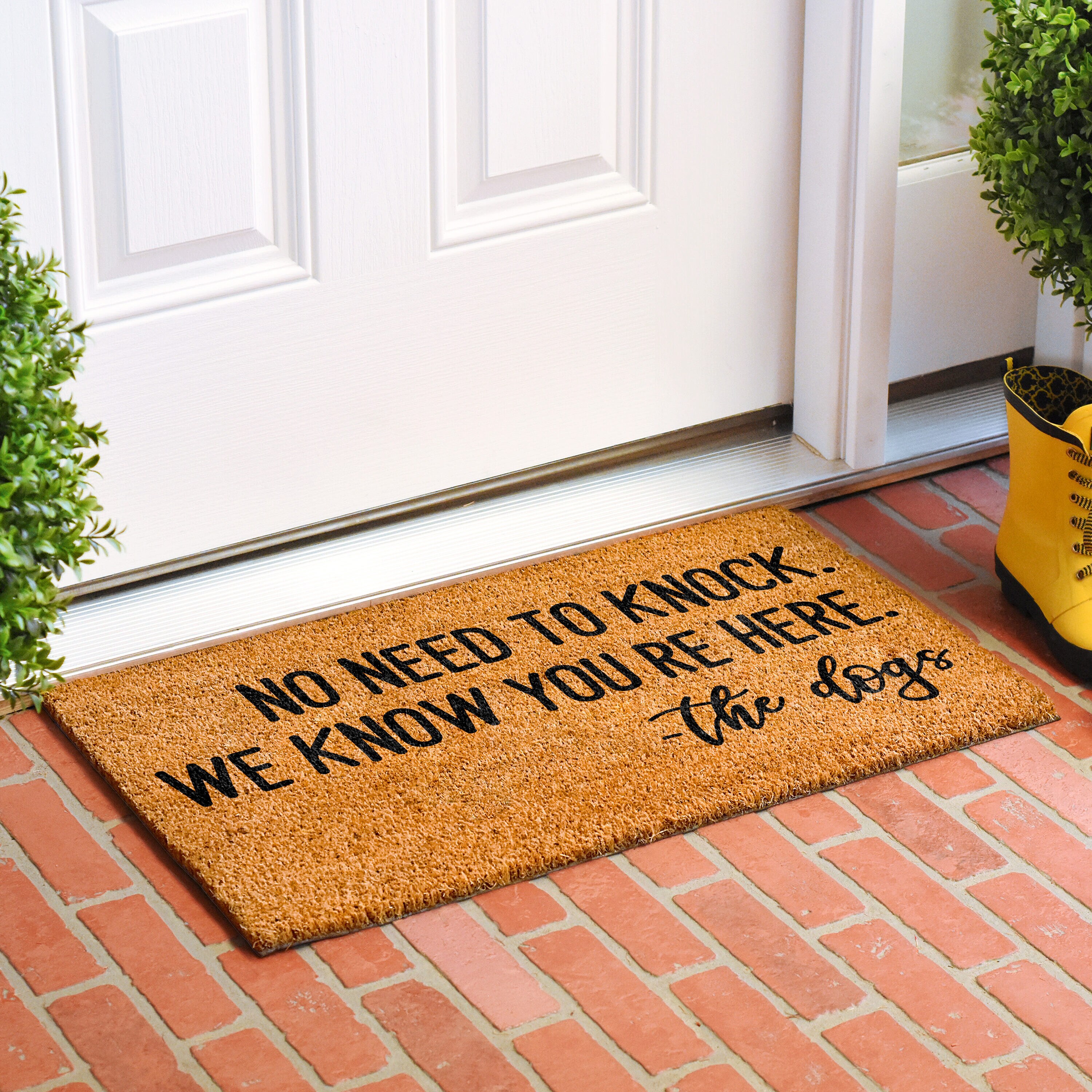 Callowaymills 107872448 Mats-Cat - View #2