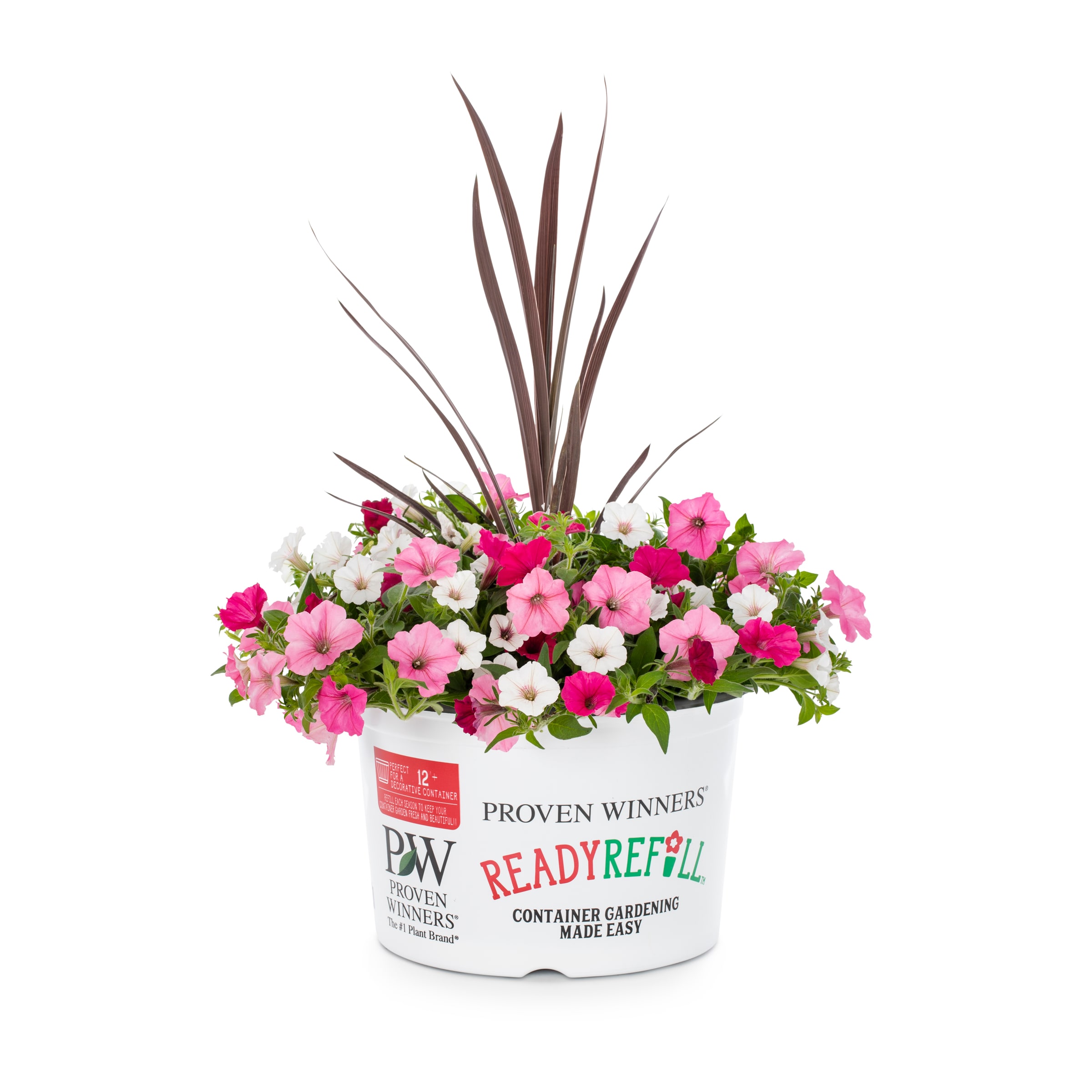 Ready Refill NURSERY Multicolor Above and Beyond in 2.50 Gallon(s) Pot