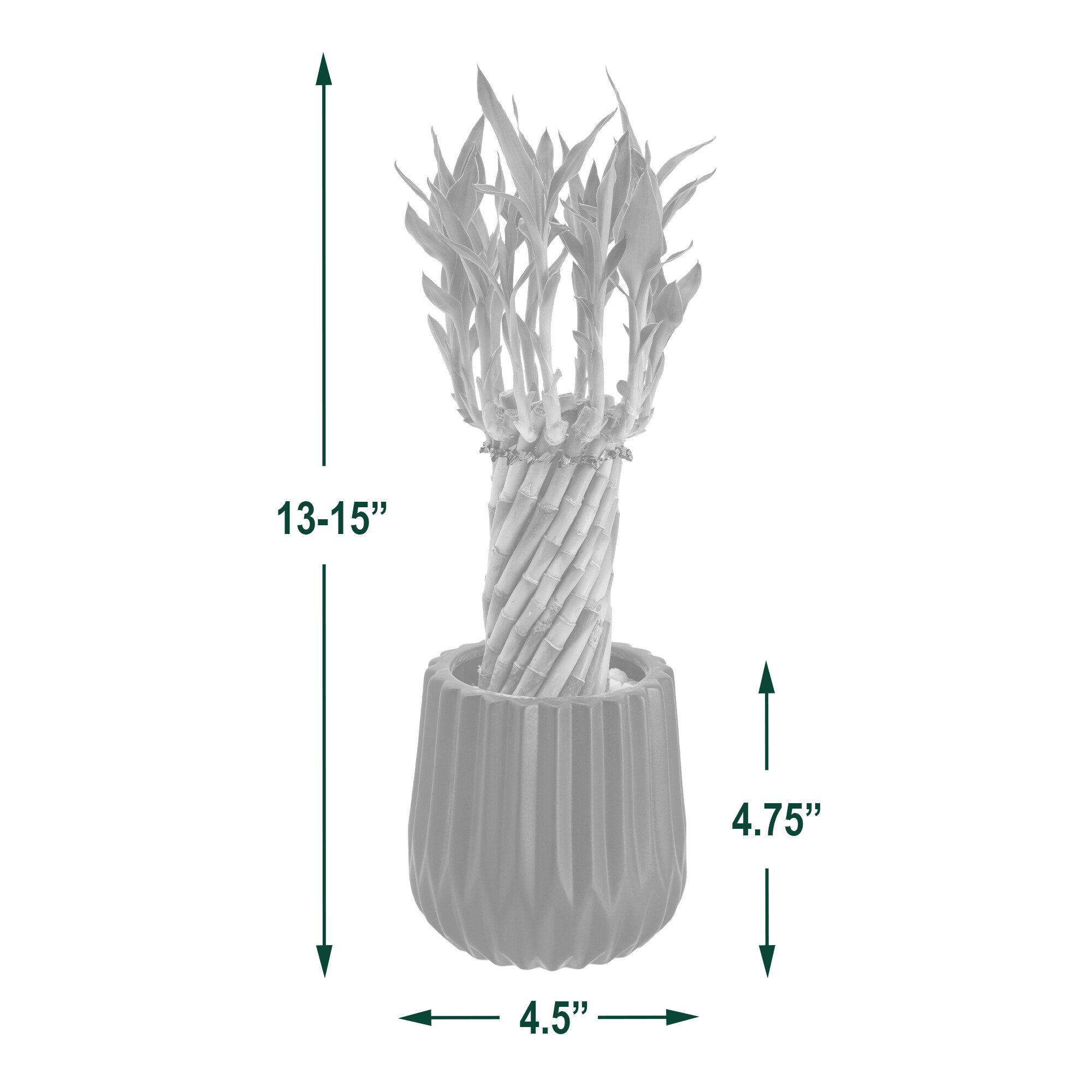 Arcadia Garden Products LV37 hseplants - View #4