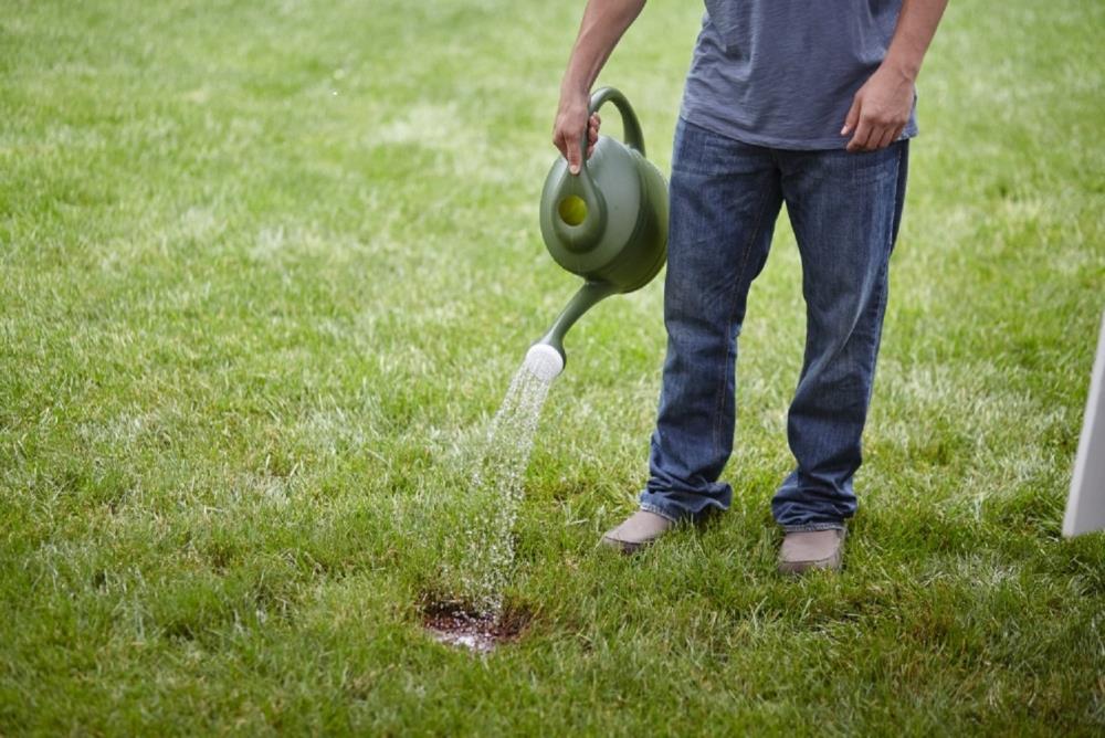  17530A Lawn-Repair-Mix - View #3