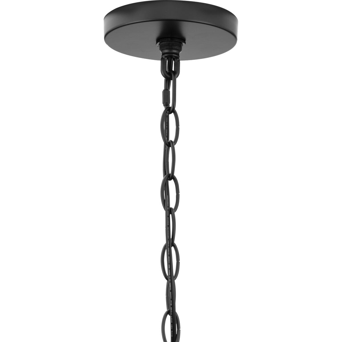 Progress Lighting P500455-31M Pendant-Lights - View #6