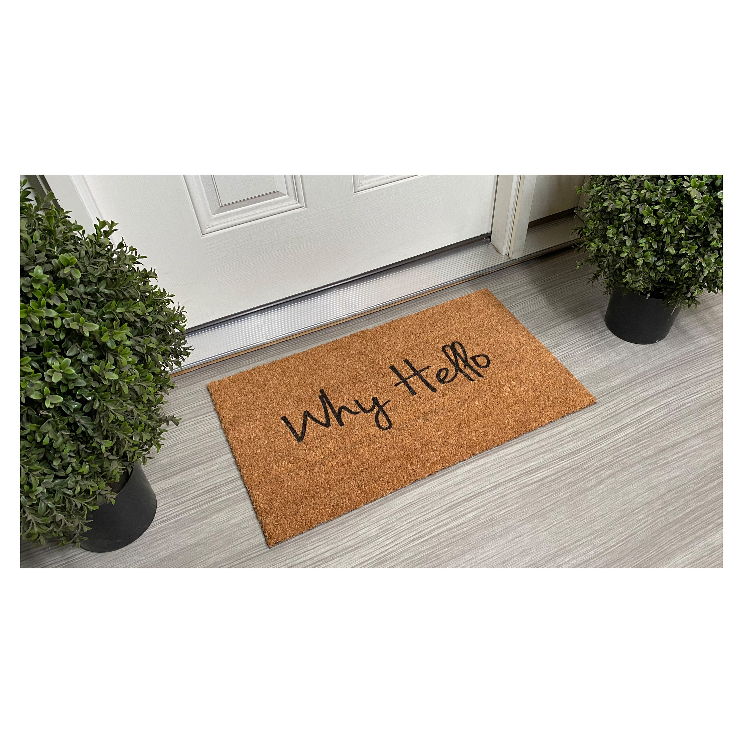 Why Hello Natural Coir Outdoor Doormat 30" x 48"