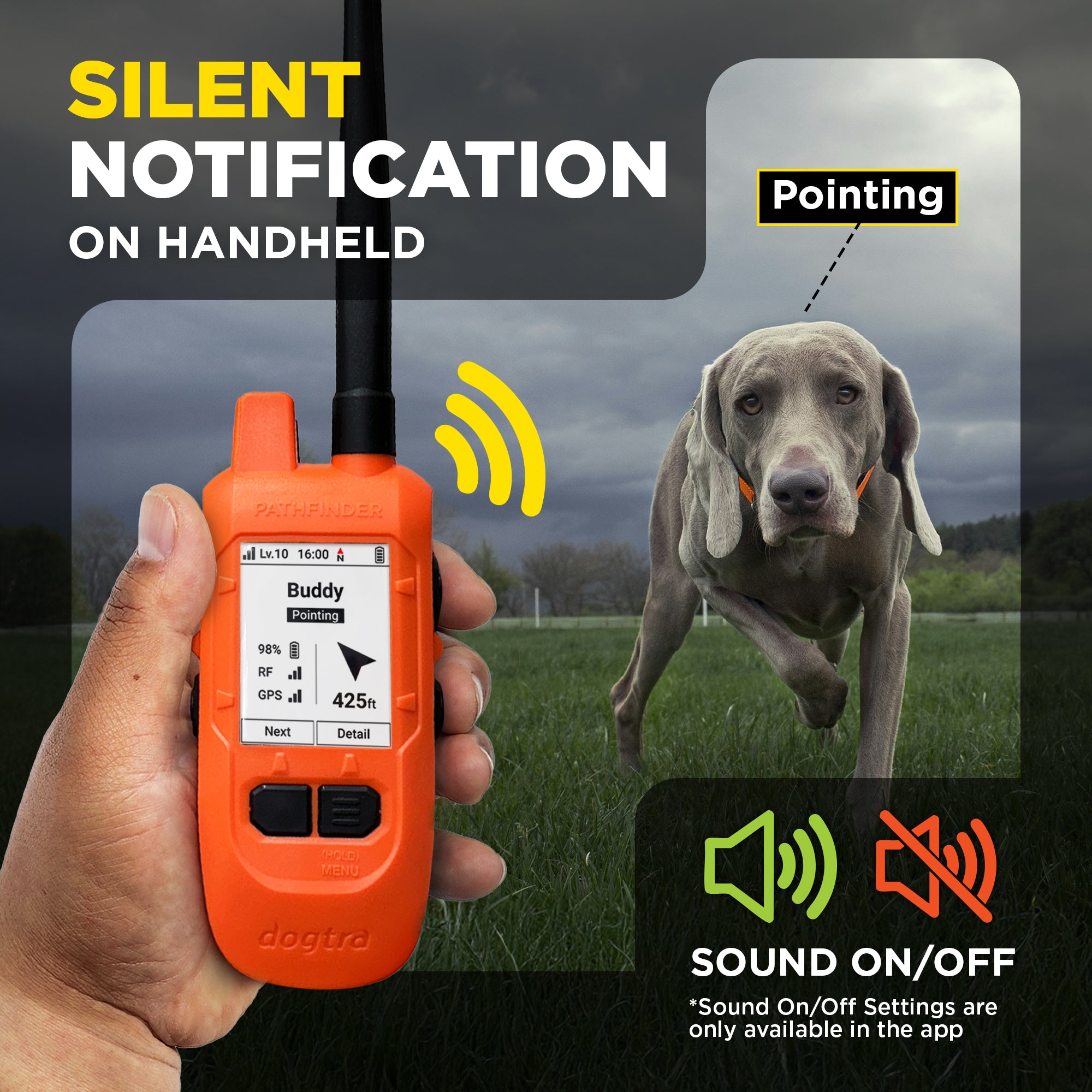 Dogtra 644622080530 Pet-Training-Collars - View #13