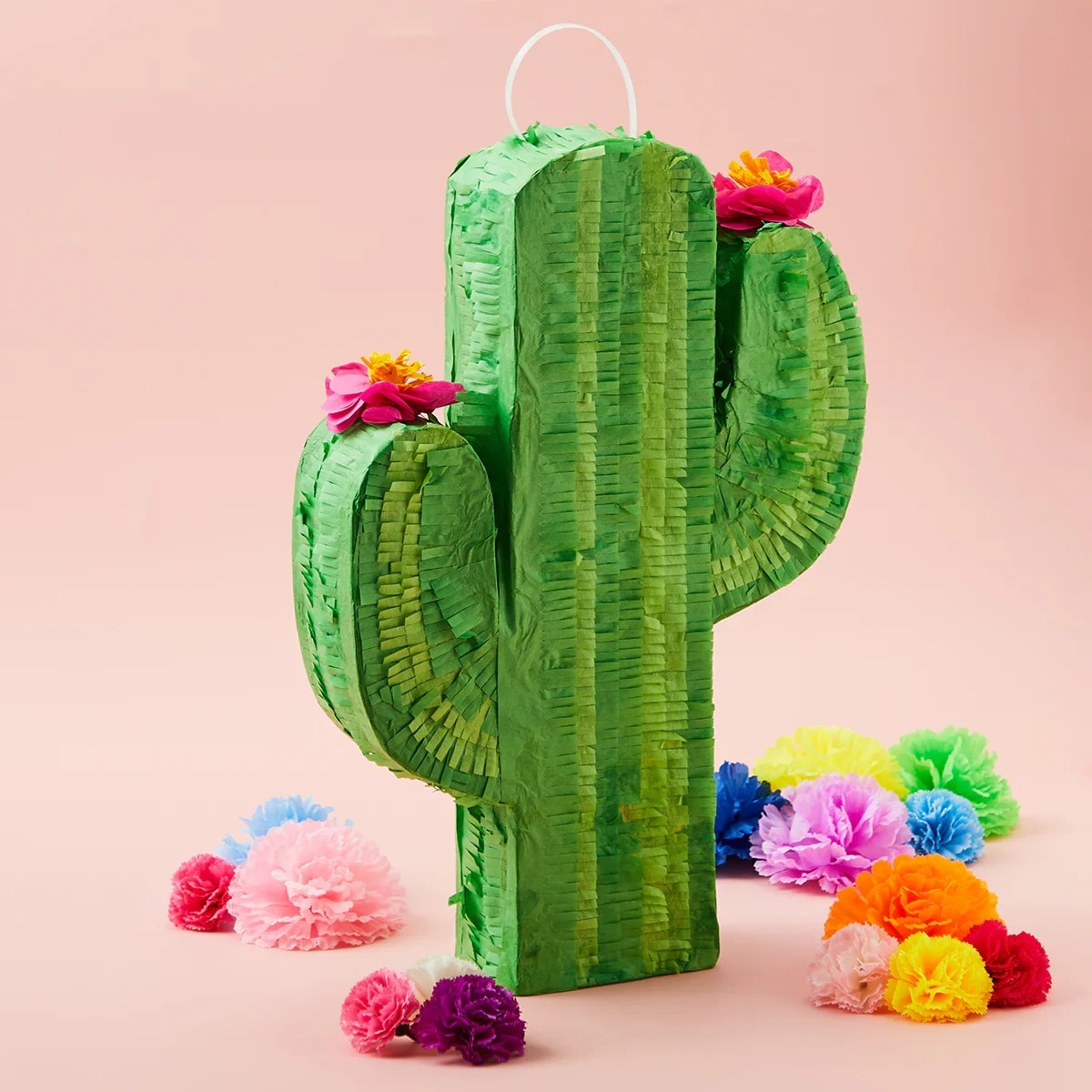 Joyfy 12797 Cactus Pinata: Fun Party Essential, 20 inches Height and 12 inches Width