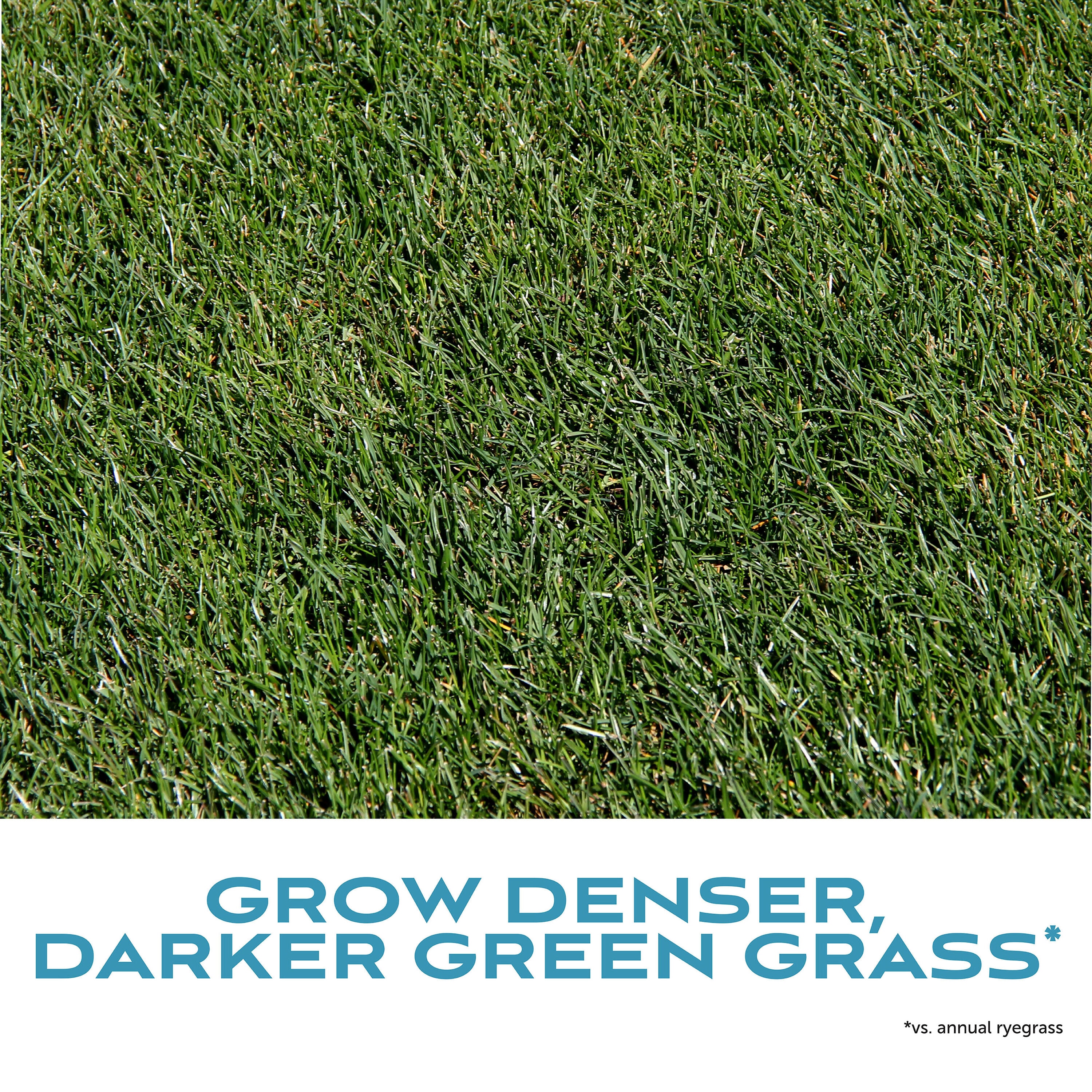 Pennington 2149601944 Grass-Seed - View #8