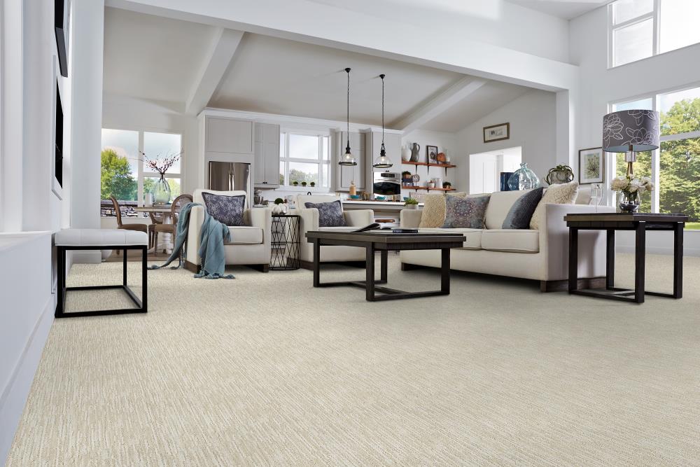 STAINMASTER 8814-204 Carpet-Panel - View #2