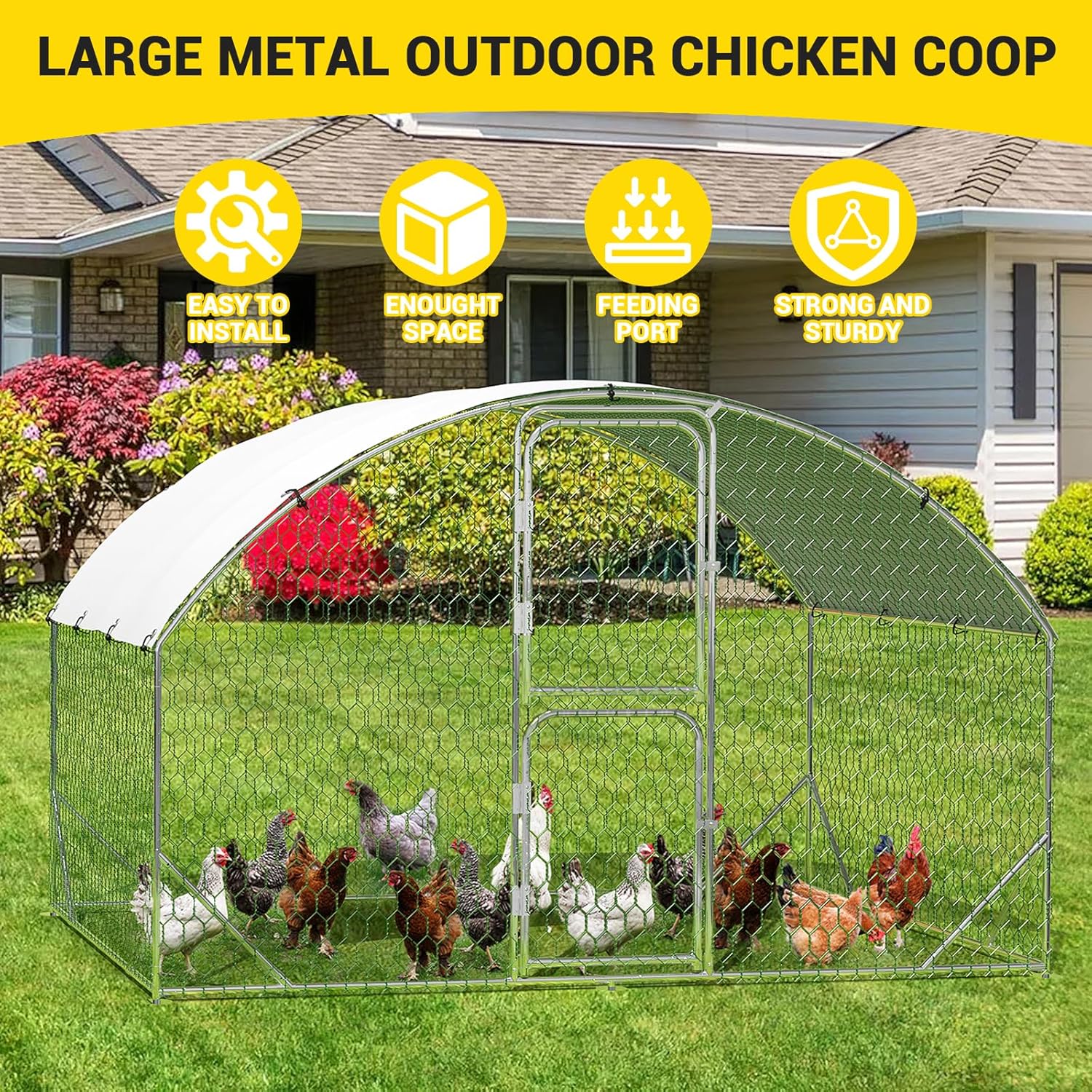 Qeetex BY01-PPG-334DGWXC Chicken-Coops-Rabbit-Hutches - View #6