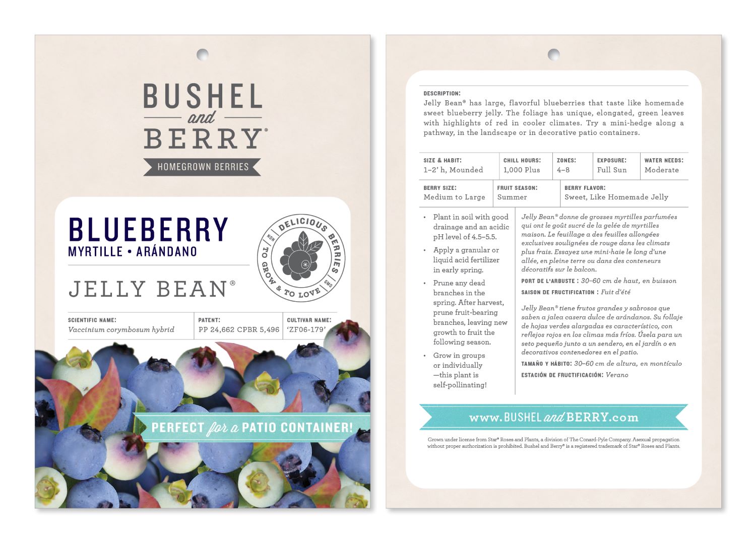 Bushel and Berry O895102 shrubs - View #2
