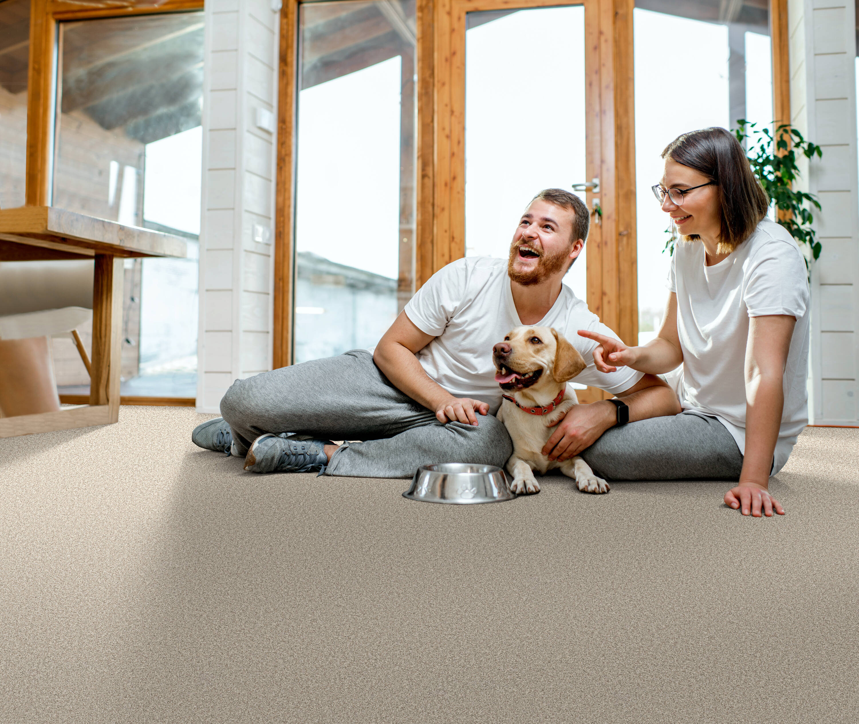 STAINMASTER 7L880 - 722 - SAMP Carpet-Samples - View #3