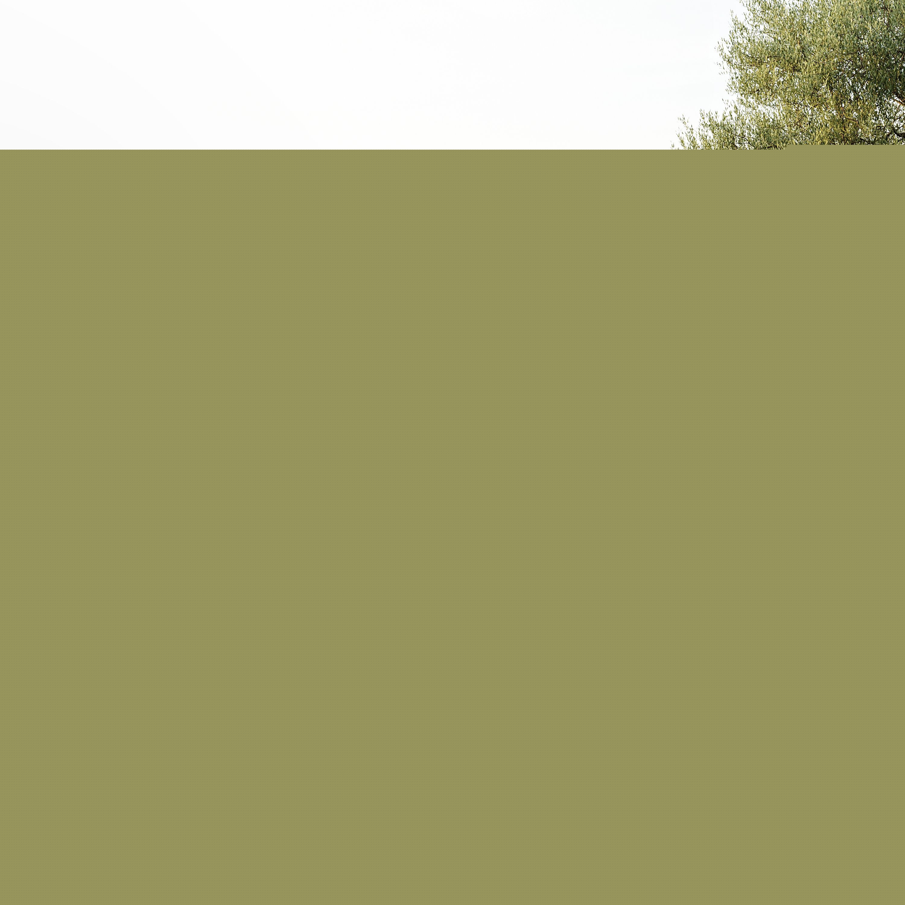 Nourison 841491138366 rugs - View #3