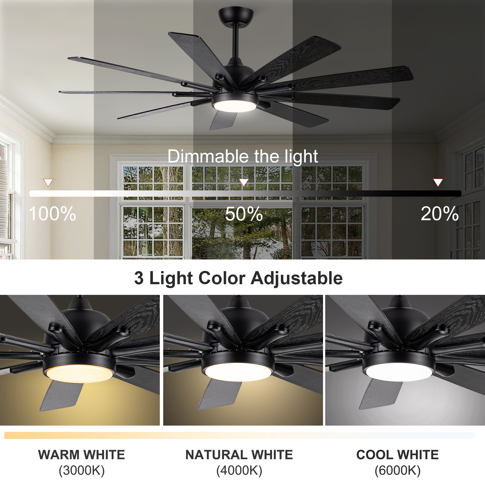 BABOOM BOM-7141498-OR Ceiling-Fans - View #7