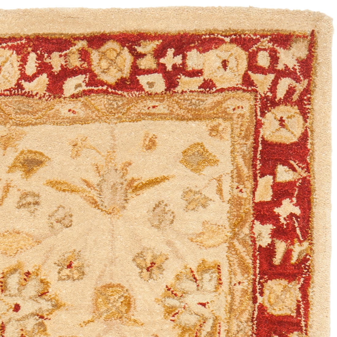 Safavieh AN522C-220 rugs - View #5