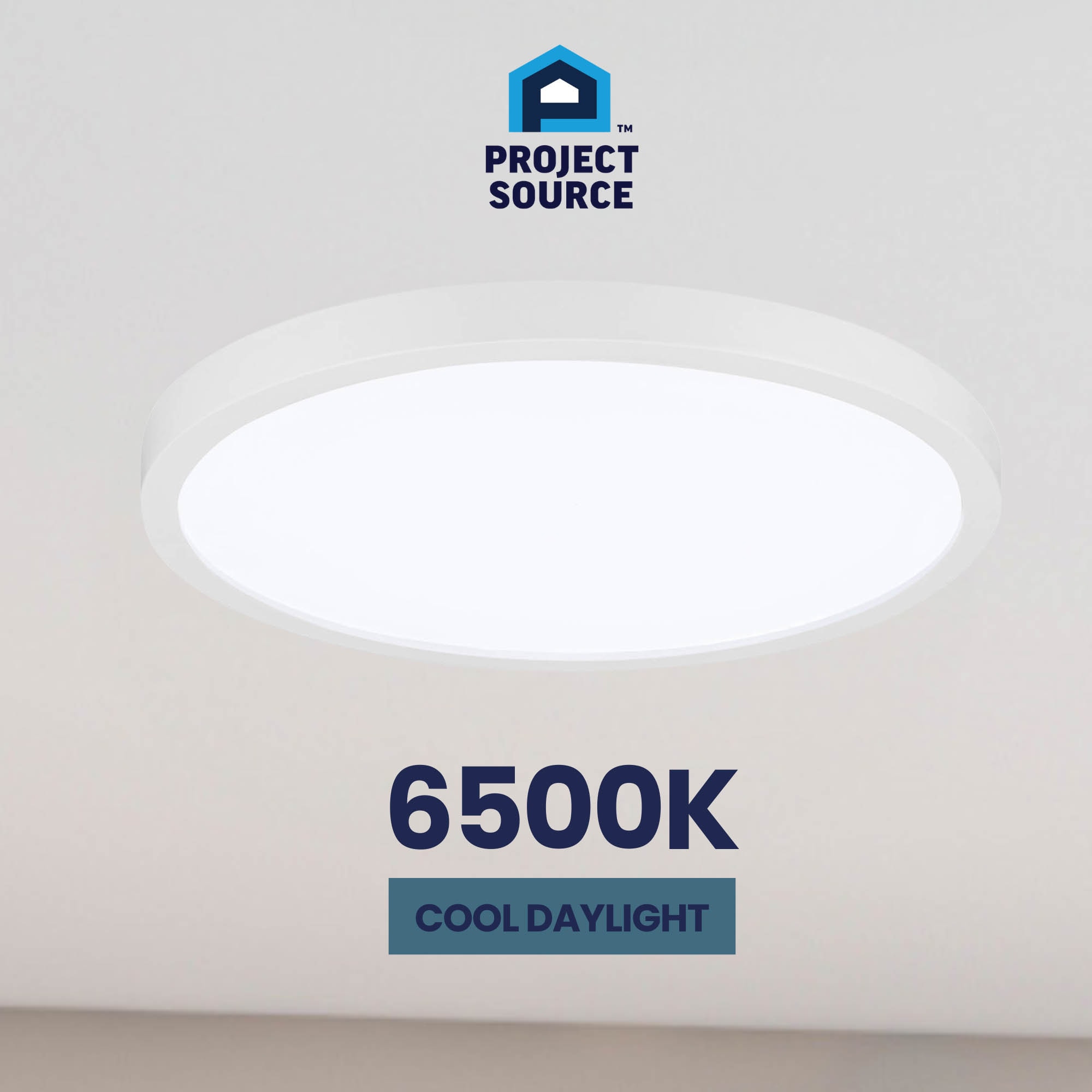 Project Source 43544 flushmounts - View #14