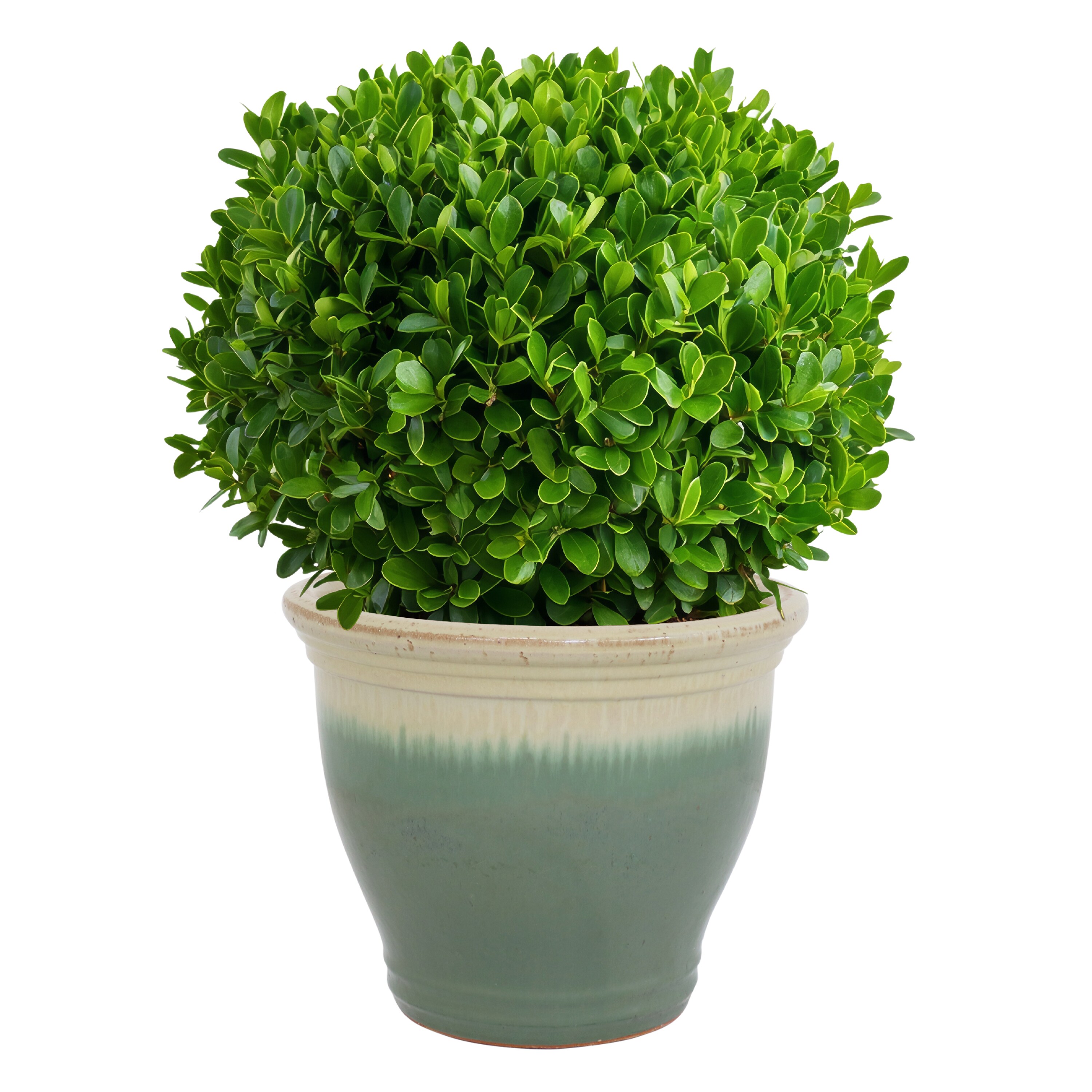 Sunnydaze Decor AP-988 Planter-Window-Box - View #8