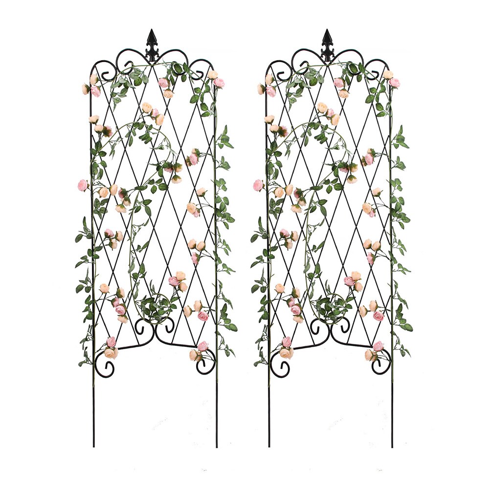 Amagabeli ET0103 Garden-Trellis - View #2