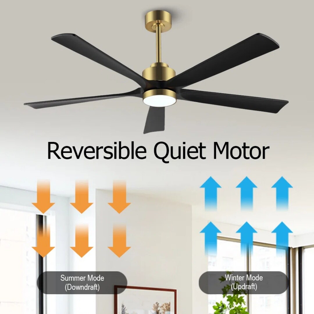 MLIAN WBCF-BS258-GB Ceiling-Fans - View #4