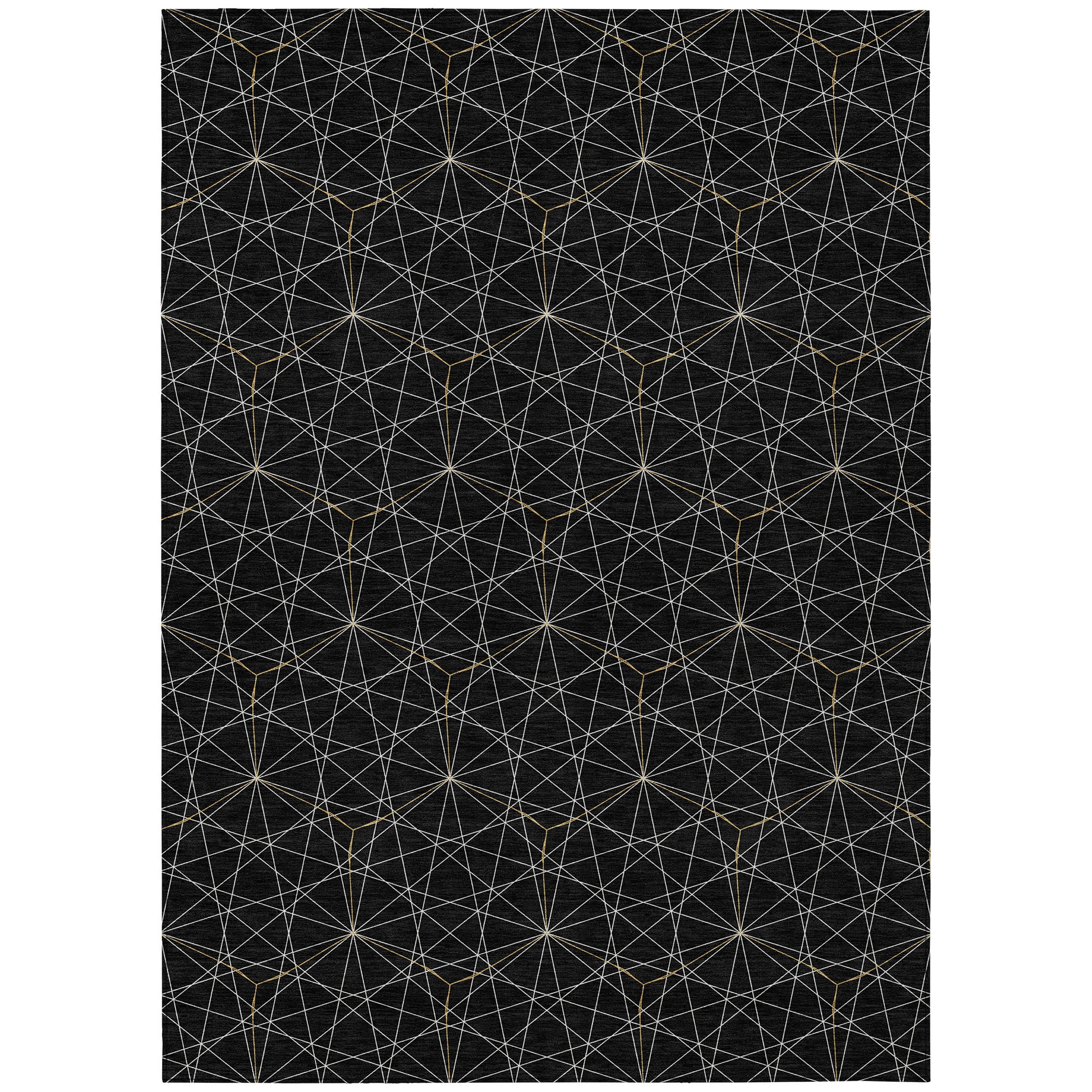 Addison Rugs ACN987BK30X46 rugs - View #2