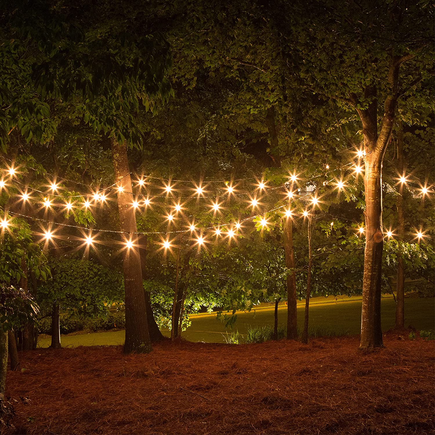 Newhouse Lighting S14LED18 Dec-Led-Light-Bulbs - View #3