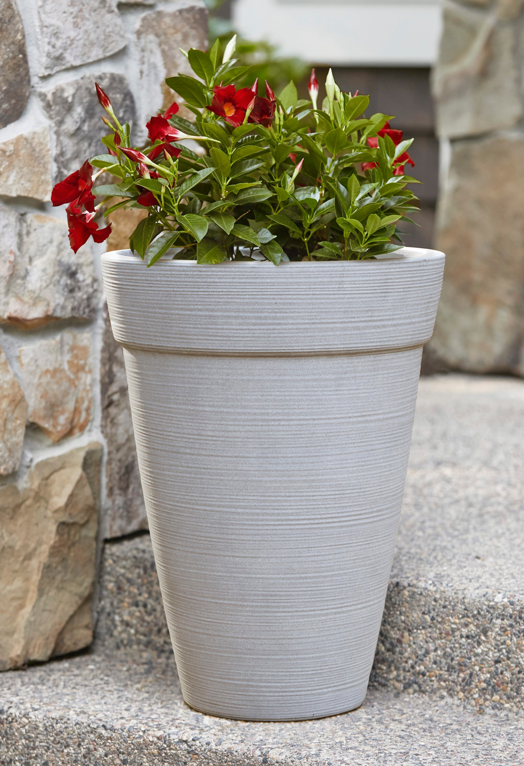 allen + roth US630594 Planter-Window-Box - View #10