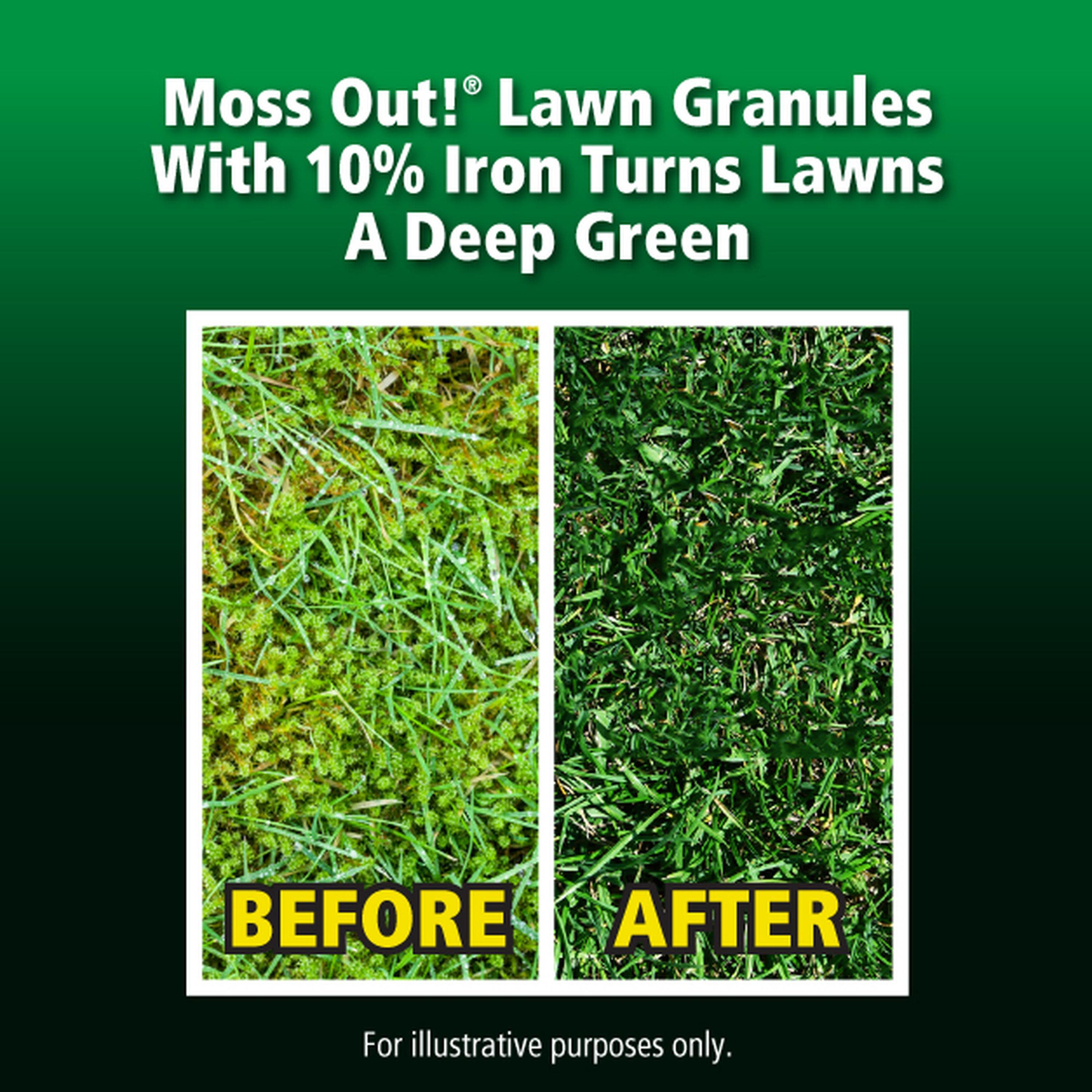 Moss Out! 100099164 Moss-Algae-Fungus-Control - View #2