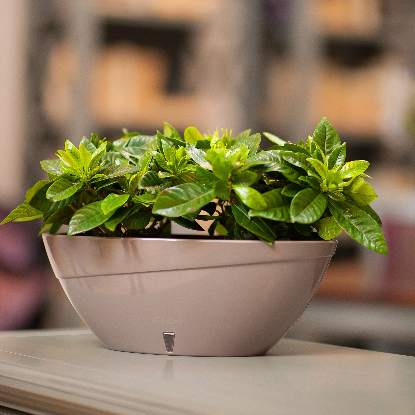 Decopots CAL135SHADEWHITE Planter-Window-Box - View #5