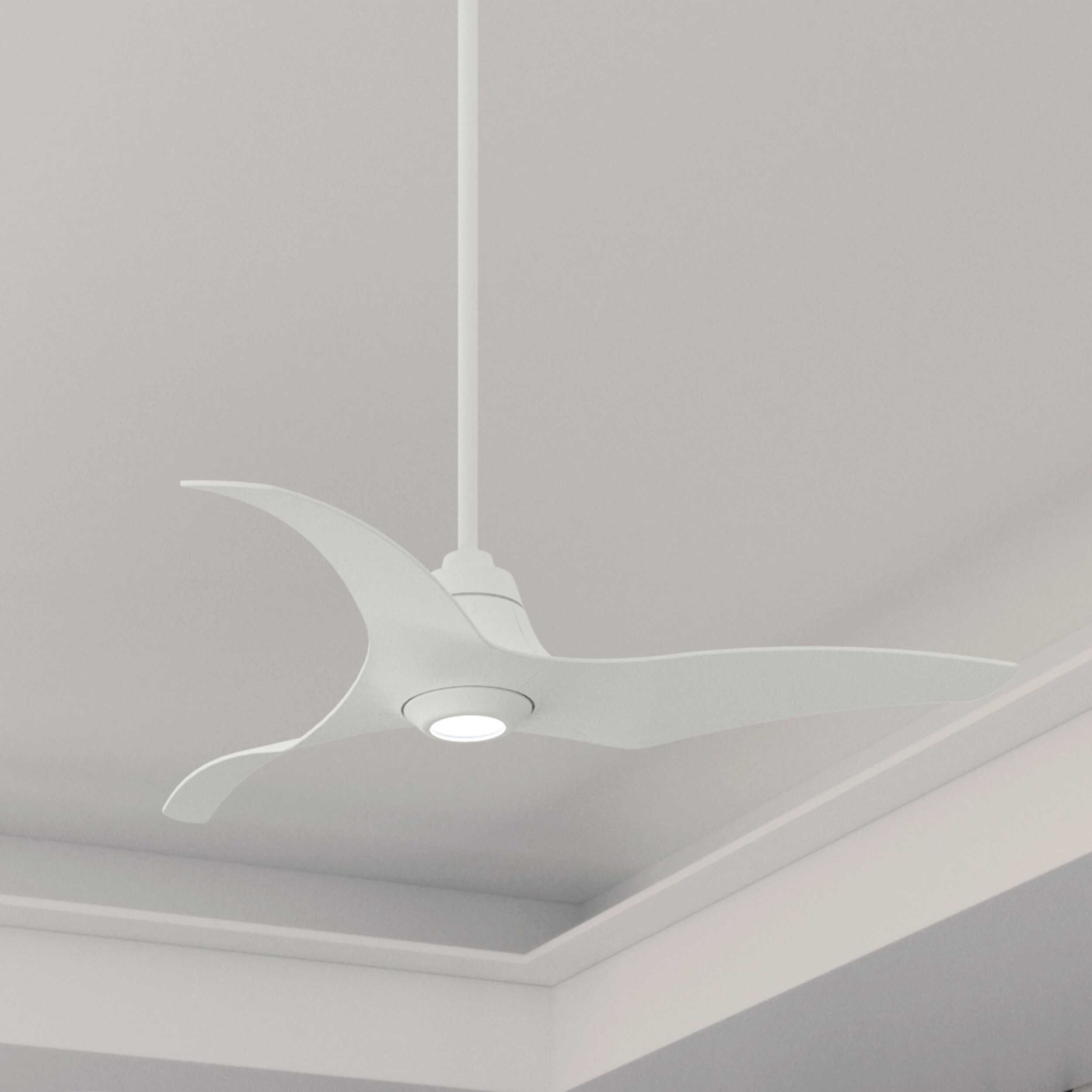 Hunter 52439 Ceiling-Fans - View #5