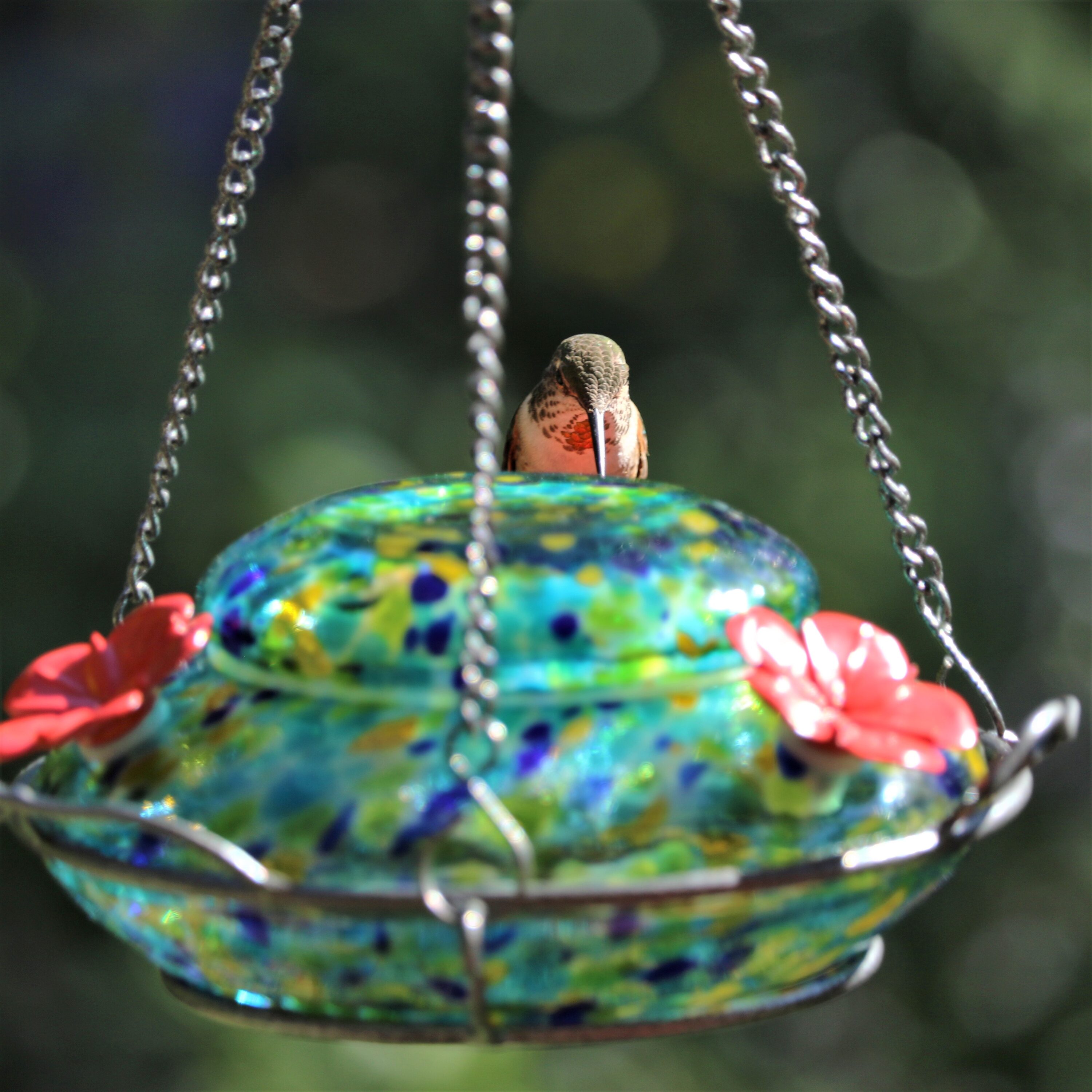 Nature's Way GHF7-CP1 Bird-Feeders - View #2