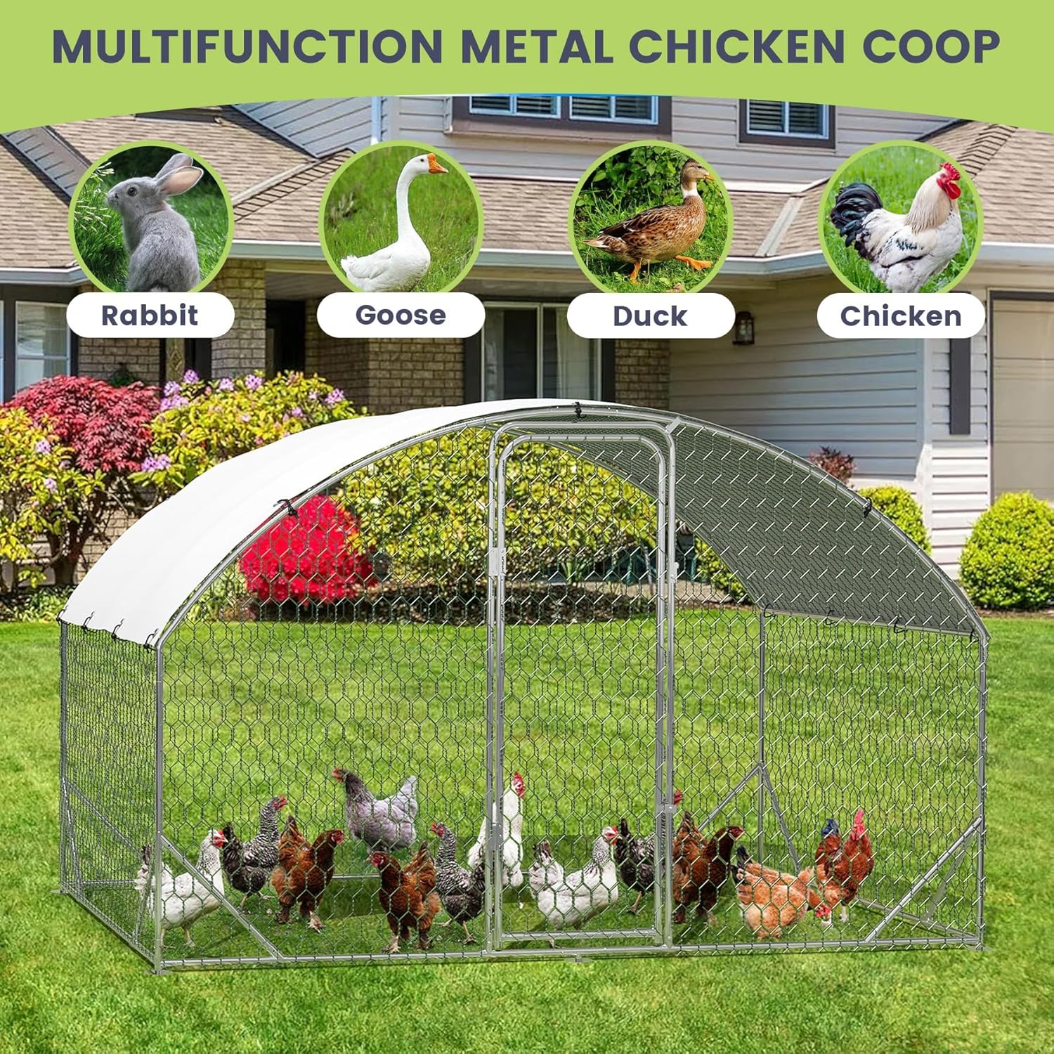Qeetex ZYFLPHO-159PFDNI Chicken-Coops-Rabbit-Hutches - View #4