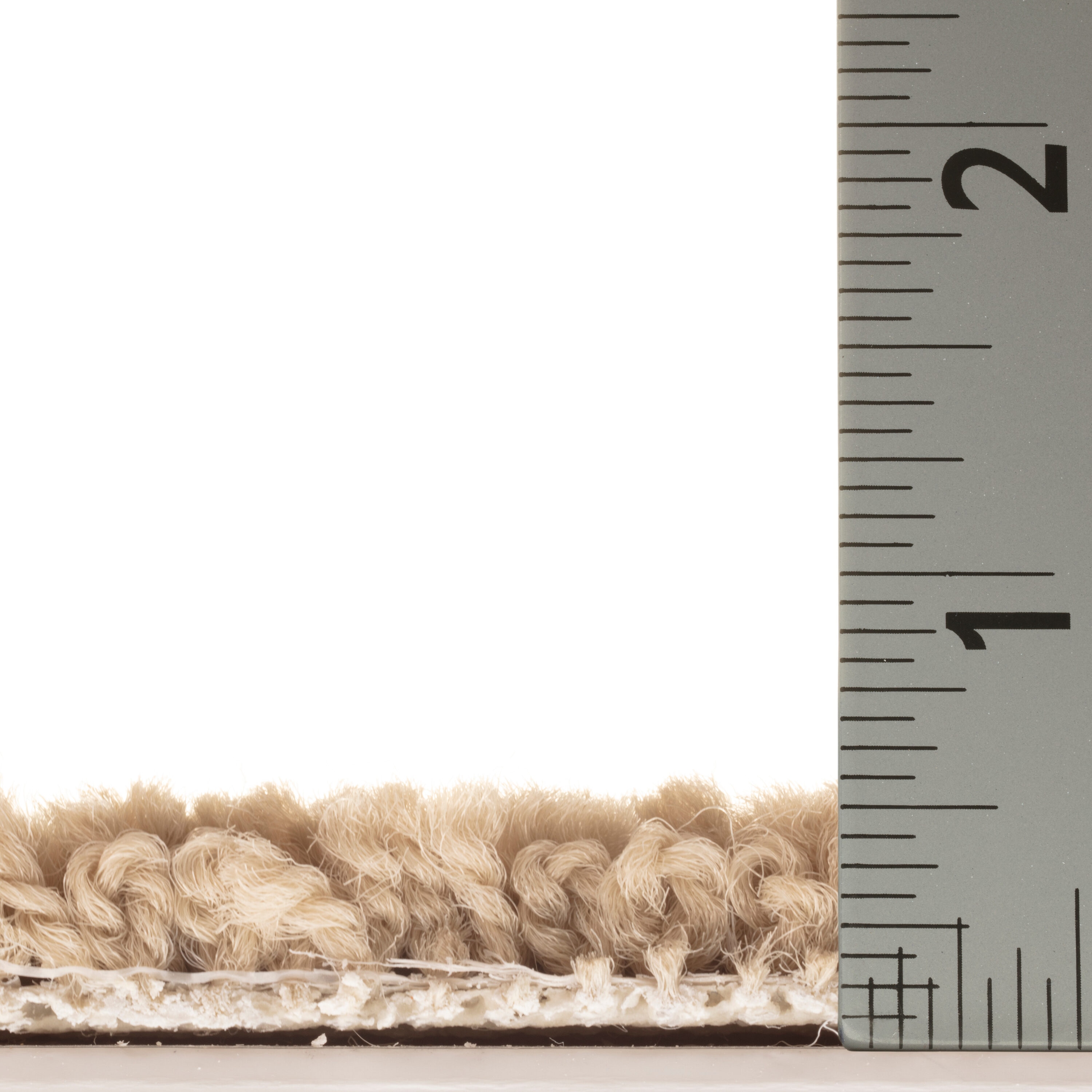STAINMASTER 7L905 - 783 - SAMP Carpet-Samples - View #6